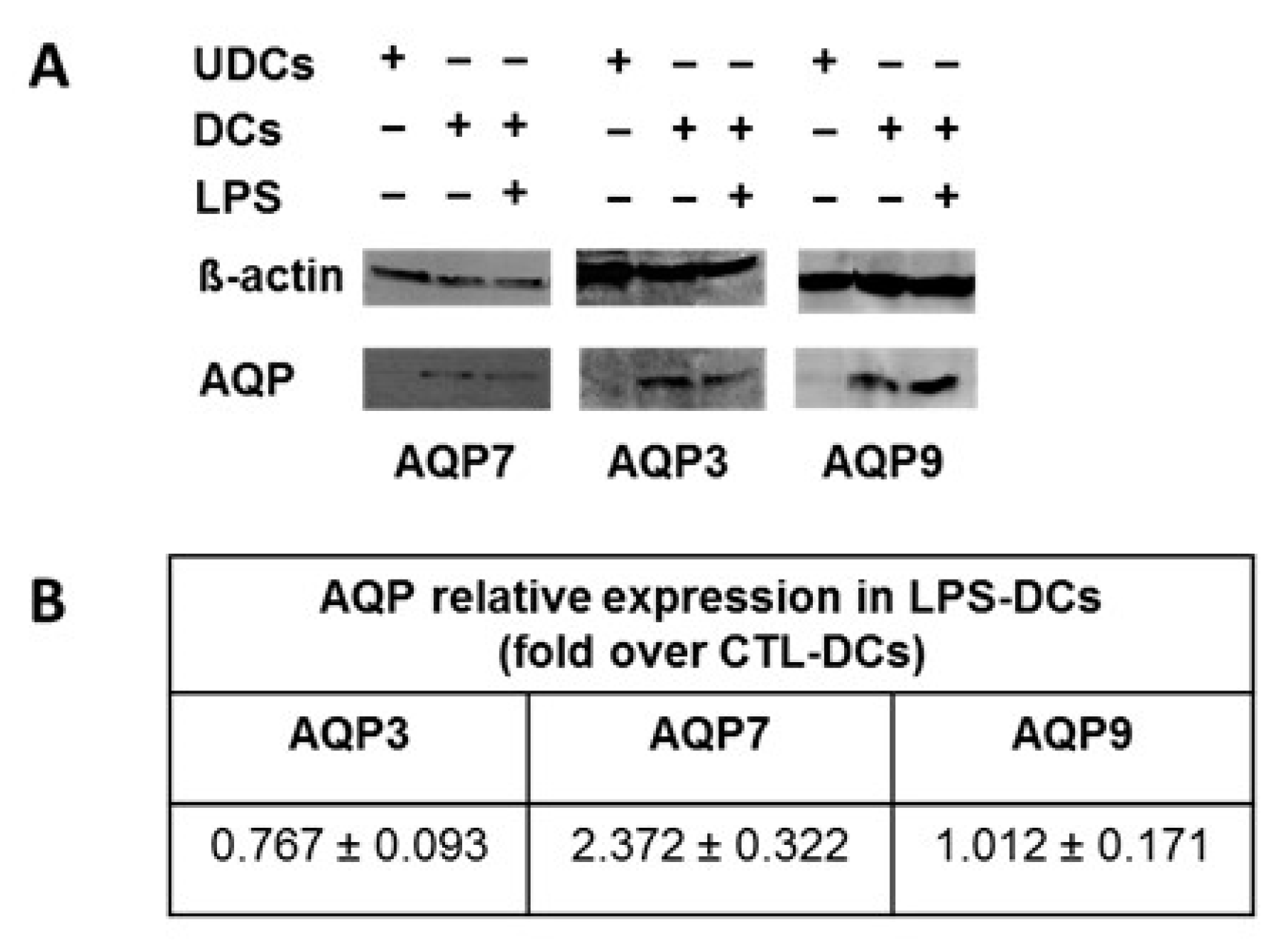 Ijms 18 02566 g005 550