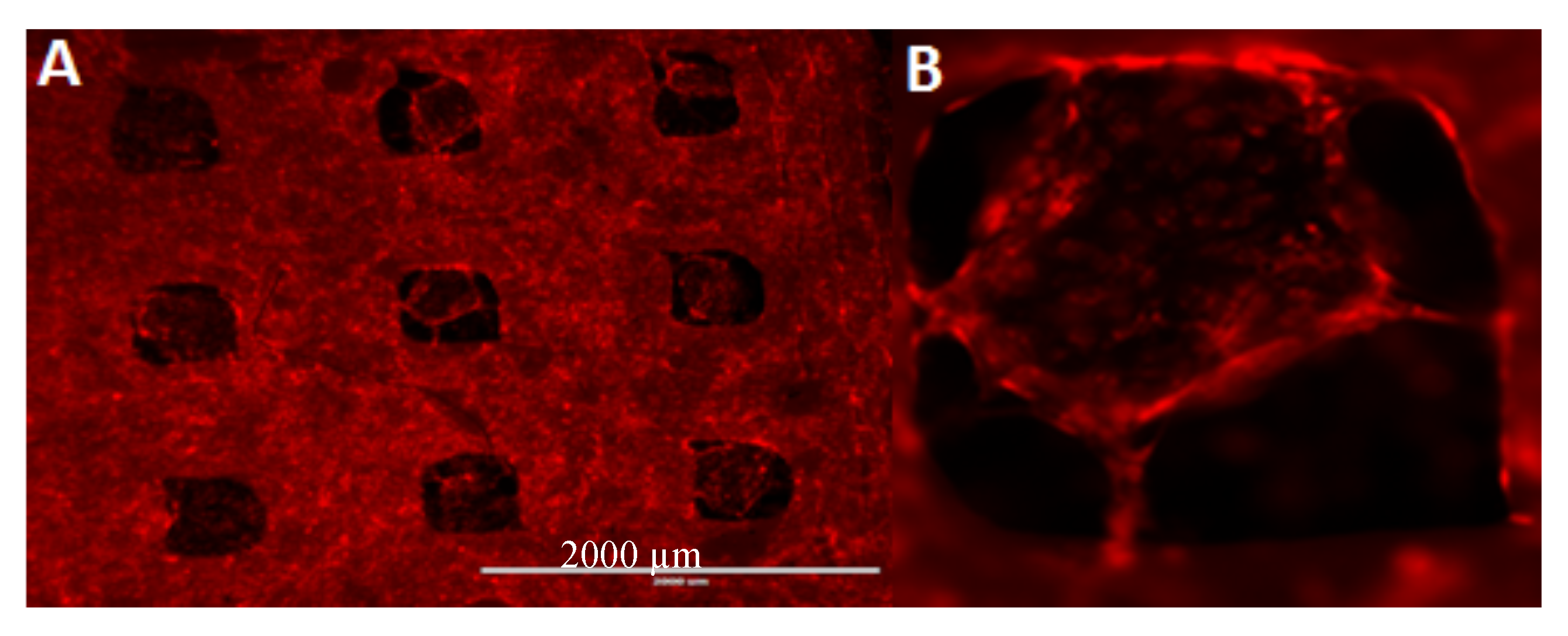 Ijms 18 02569 g007 Ijms 18 02569 g007