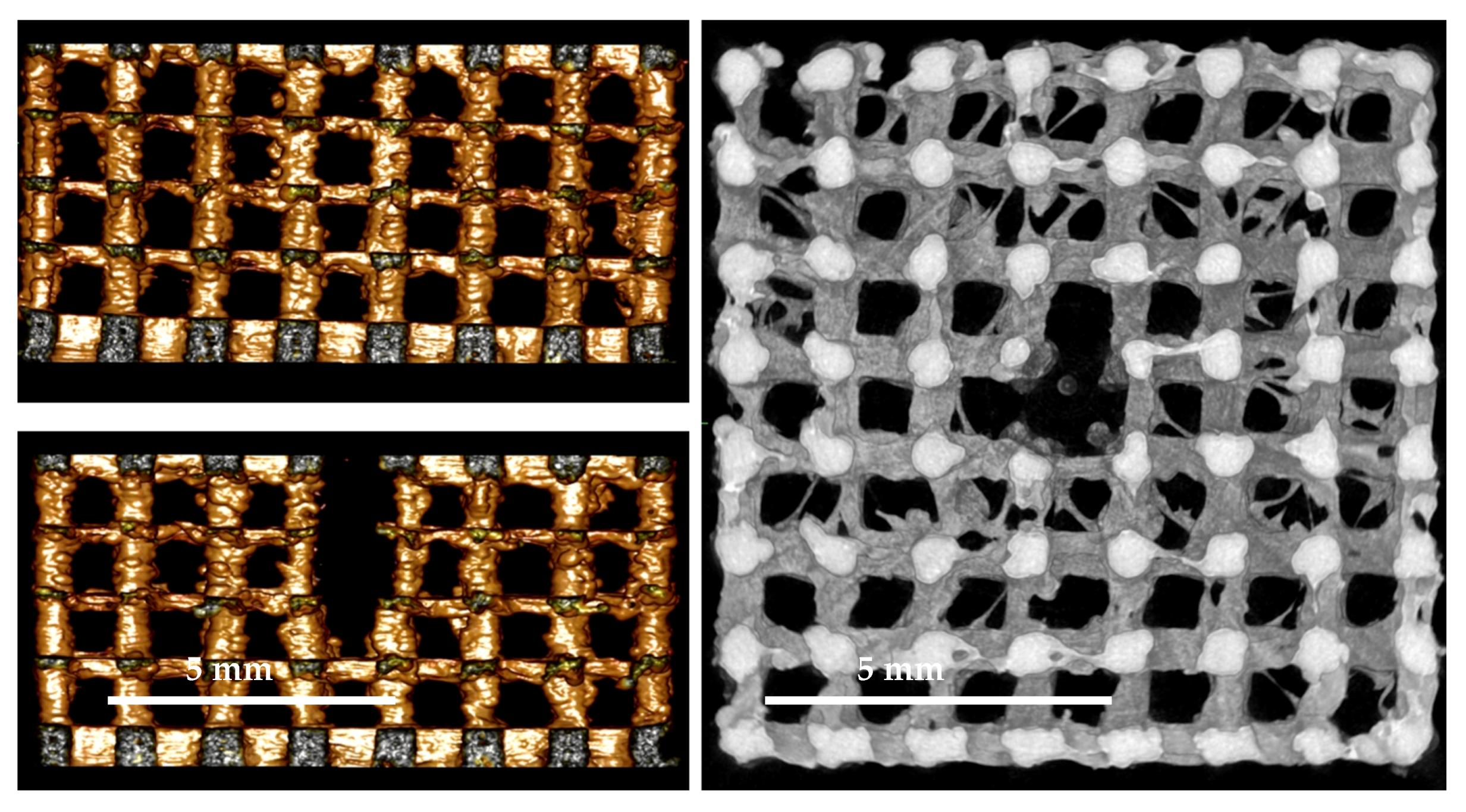 Ijms 18 02569 g009 Ijms 18 02569 g009