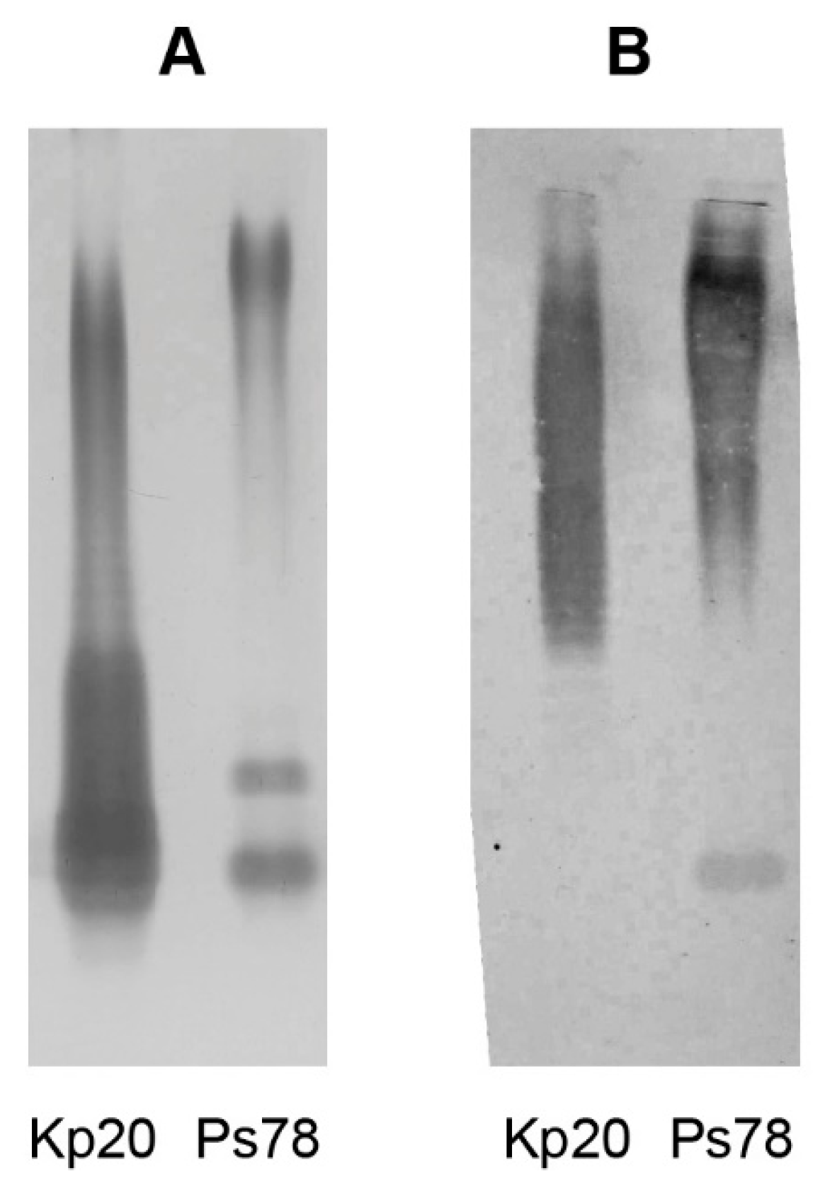 Ijms 18 02572 g004 550