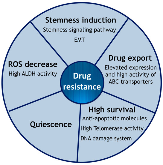IJMS Free FullText Drug Resistance Driven by Cancer Stem Cells and
