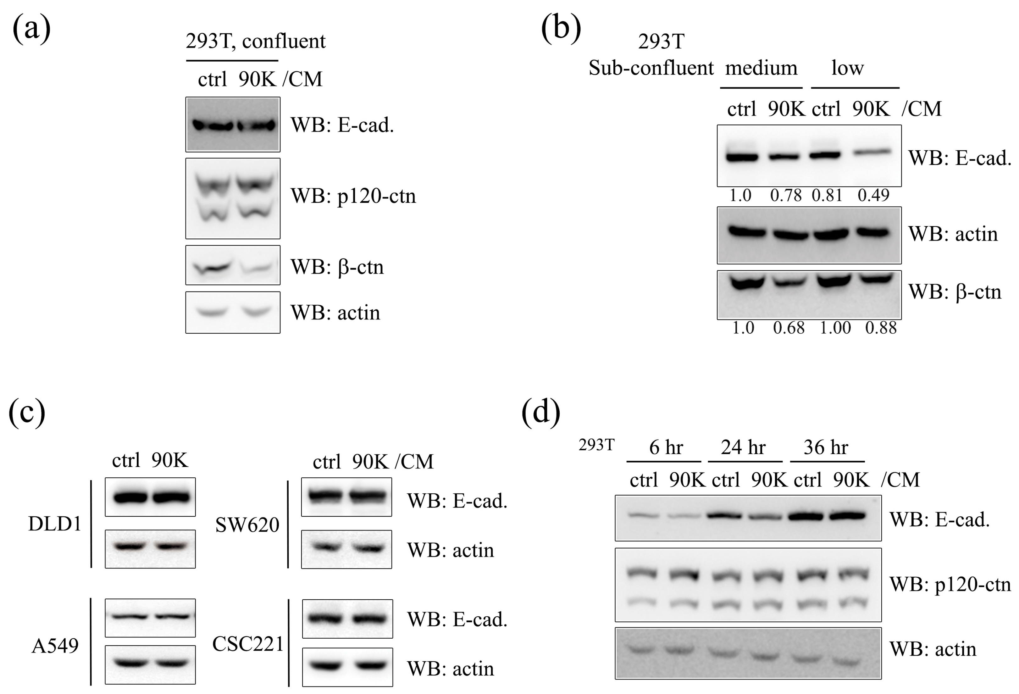 Ijms 18 02601 g002 550