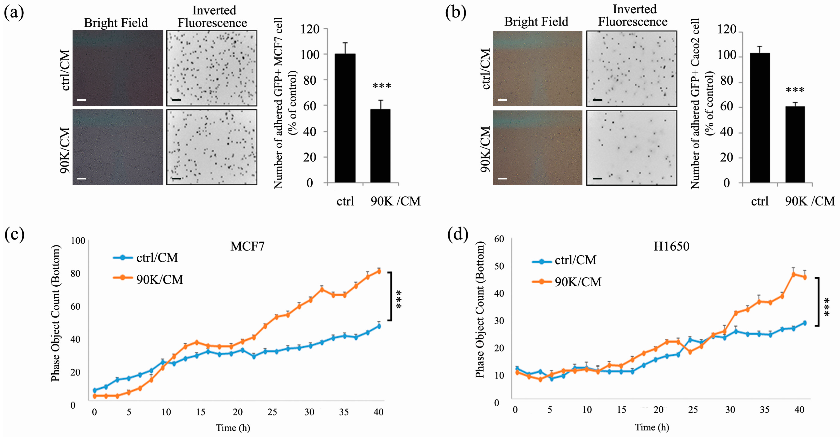 Ijms 18 02601 g003 550