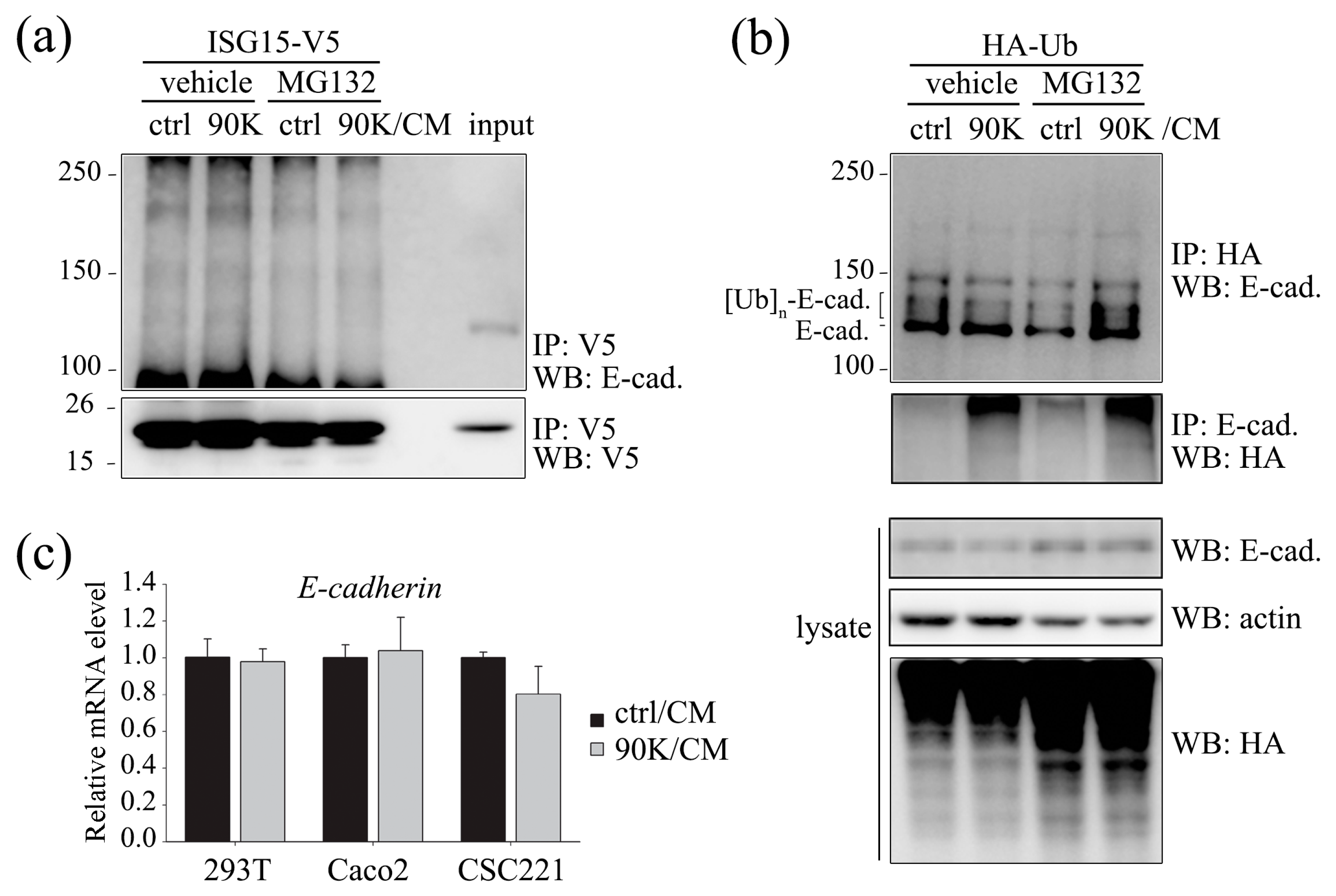 Ijms 18 02601 g004 550
