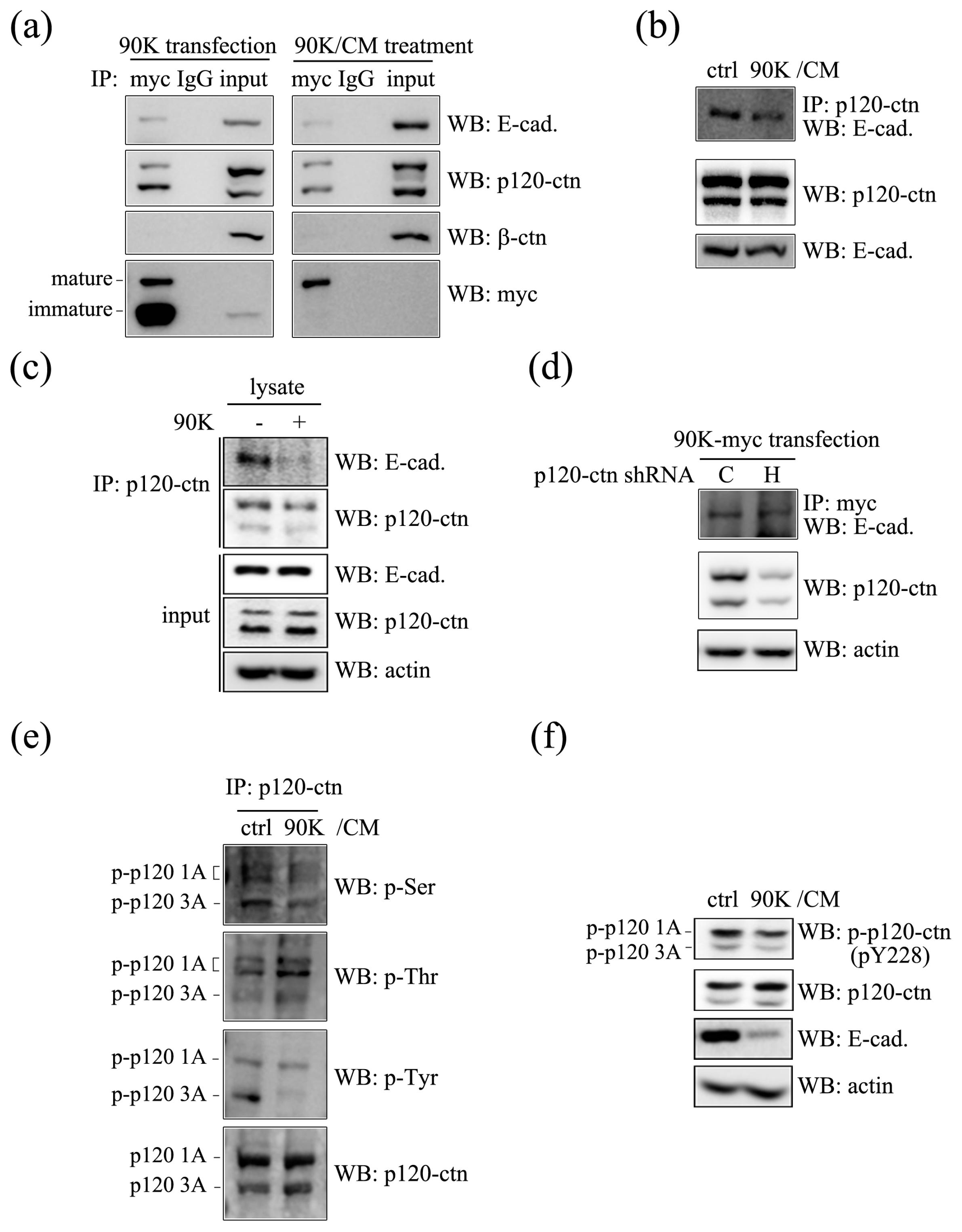 Ijms 18 02601 g005 550