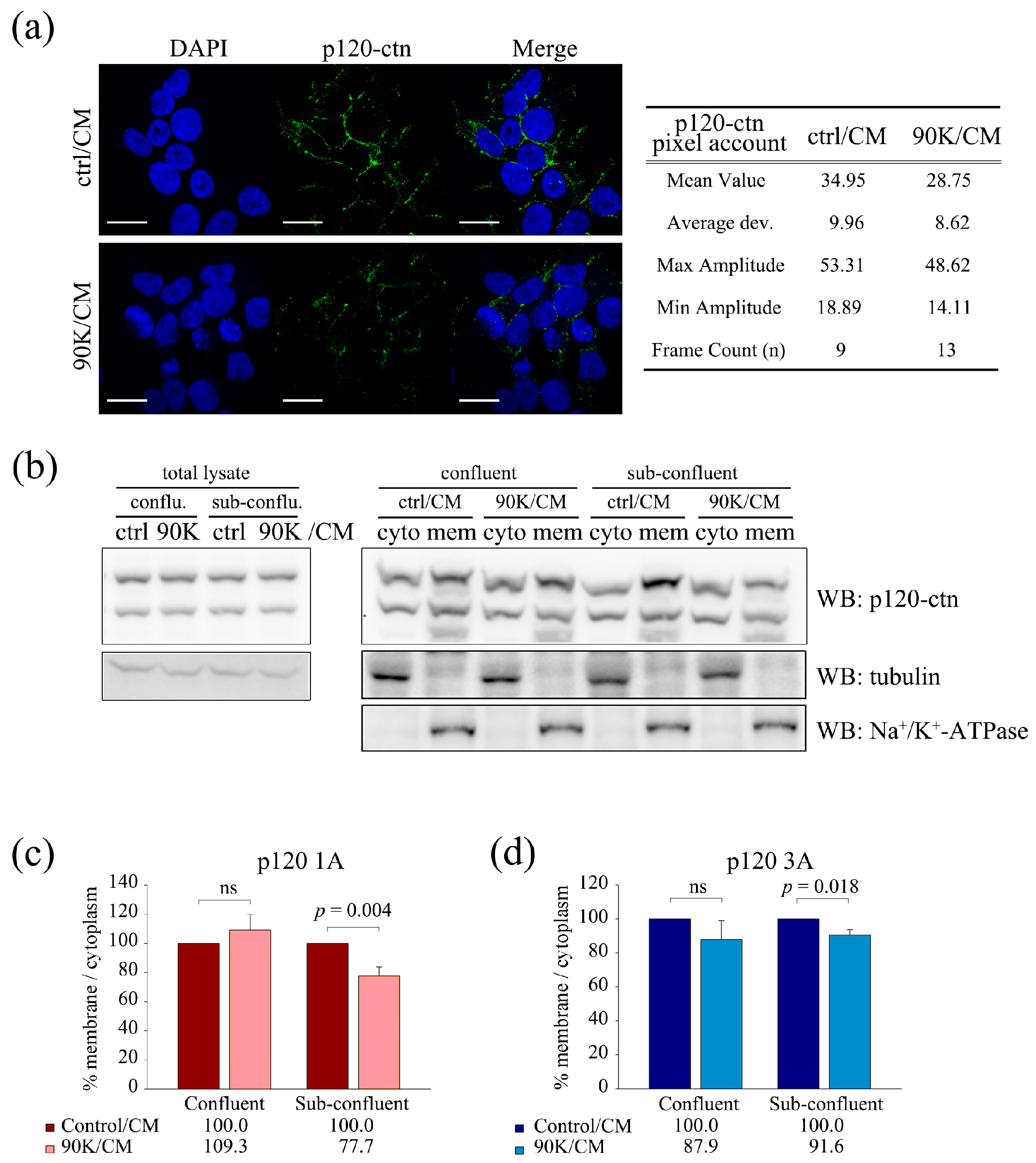 Ijms 18 02601 g006 550