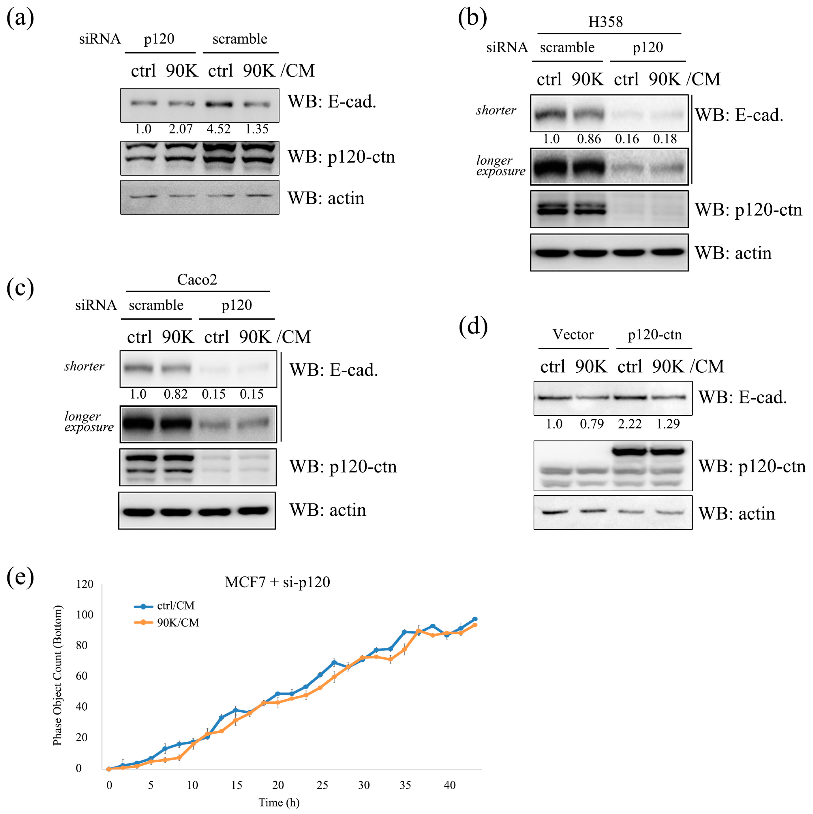 Ijms 18 02601 g007 550