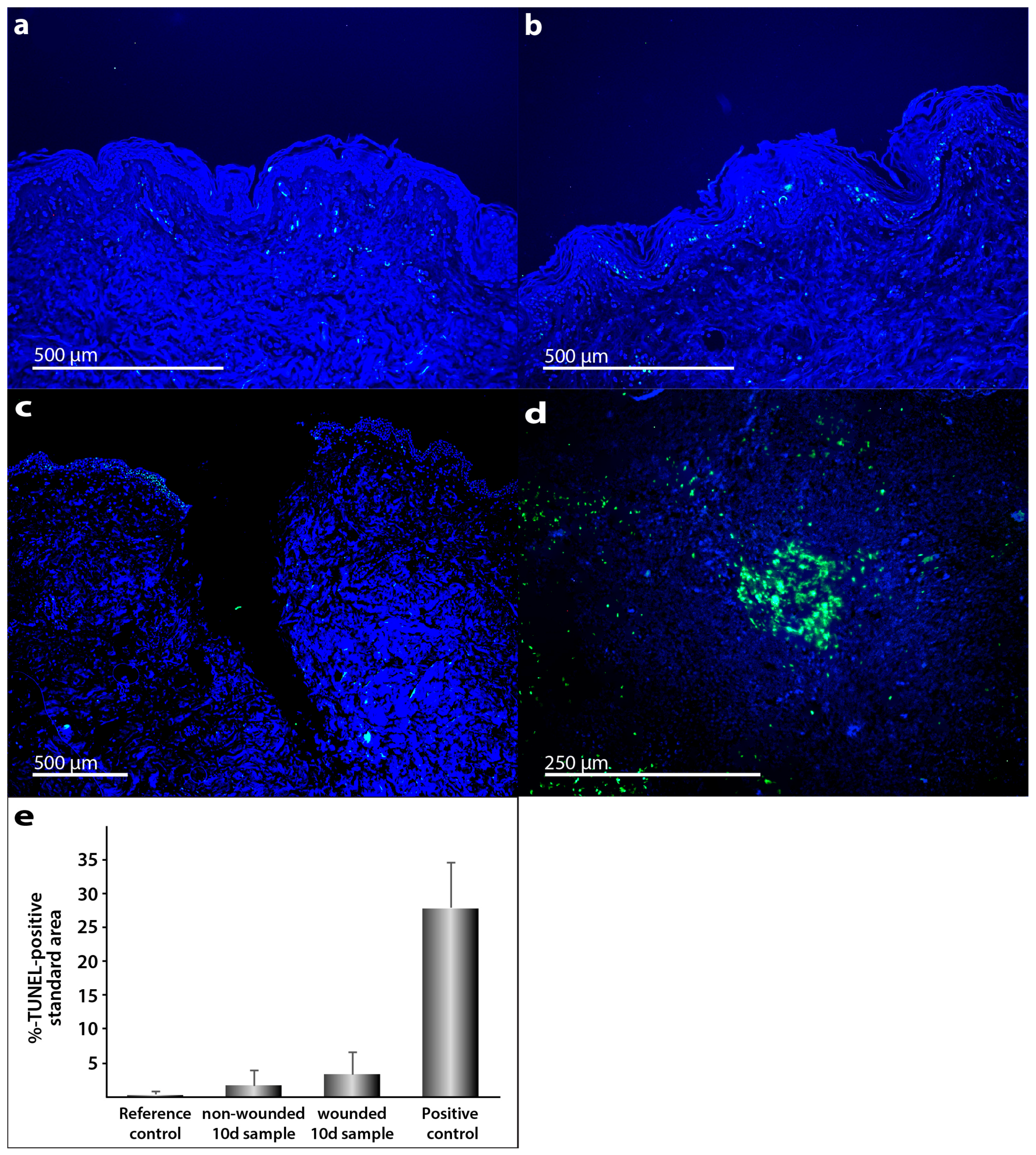 Ijms 18 02604 g003