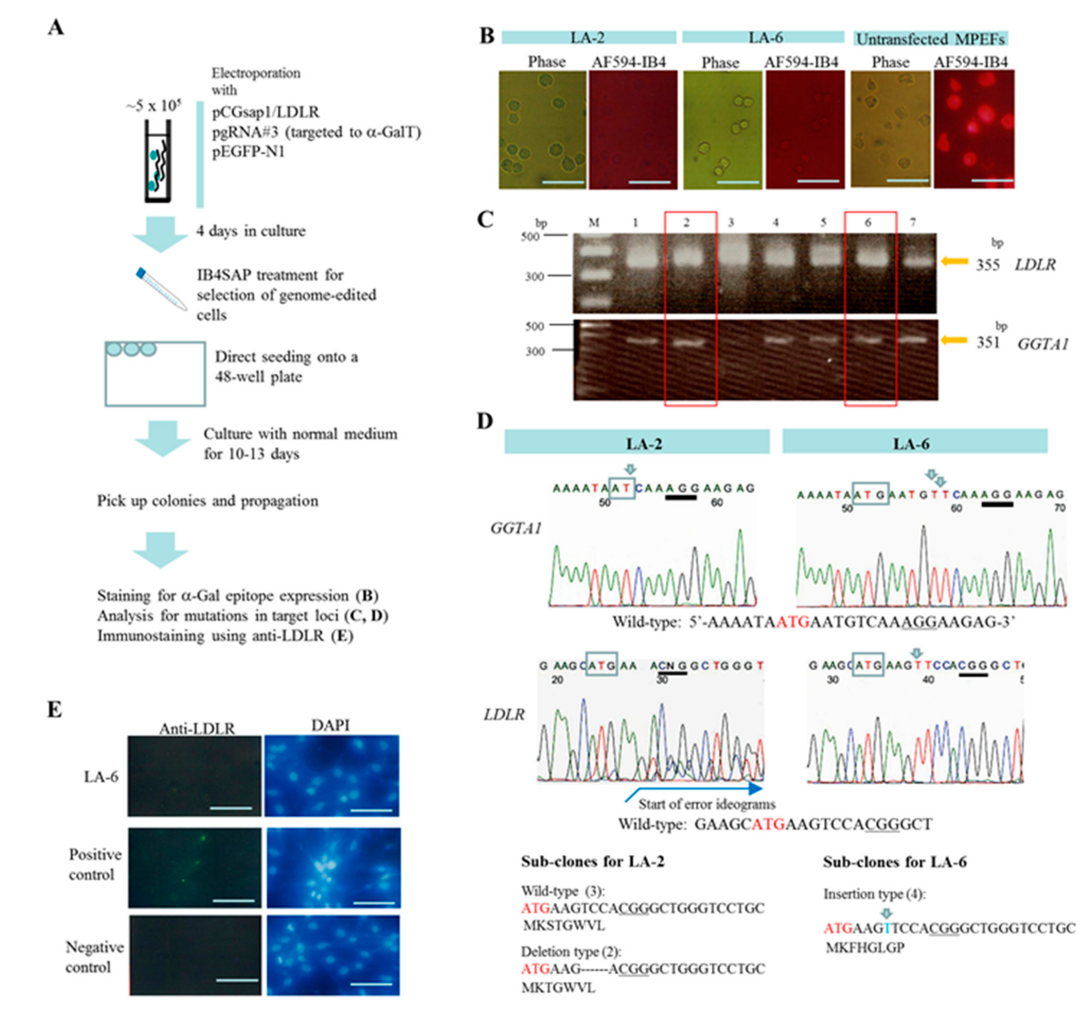 Ijms 18 02610 g002 Ijms 18 02610 g002
