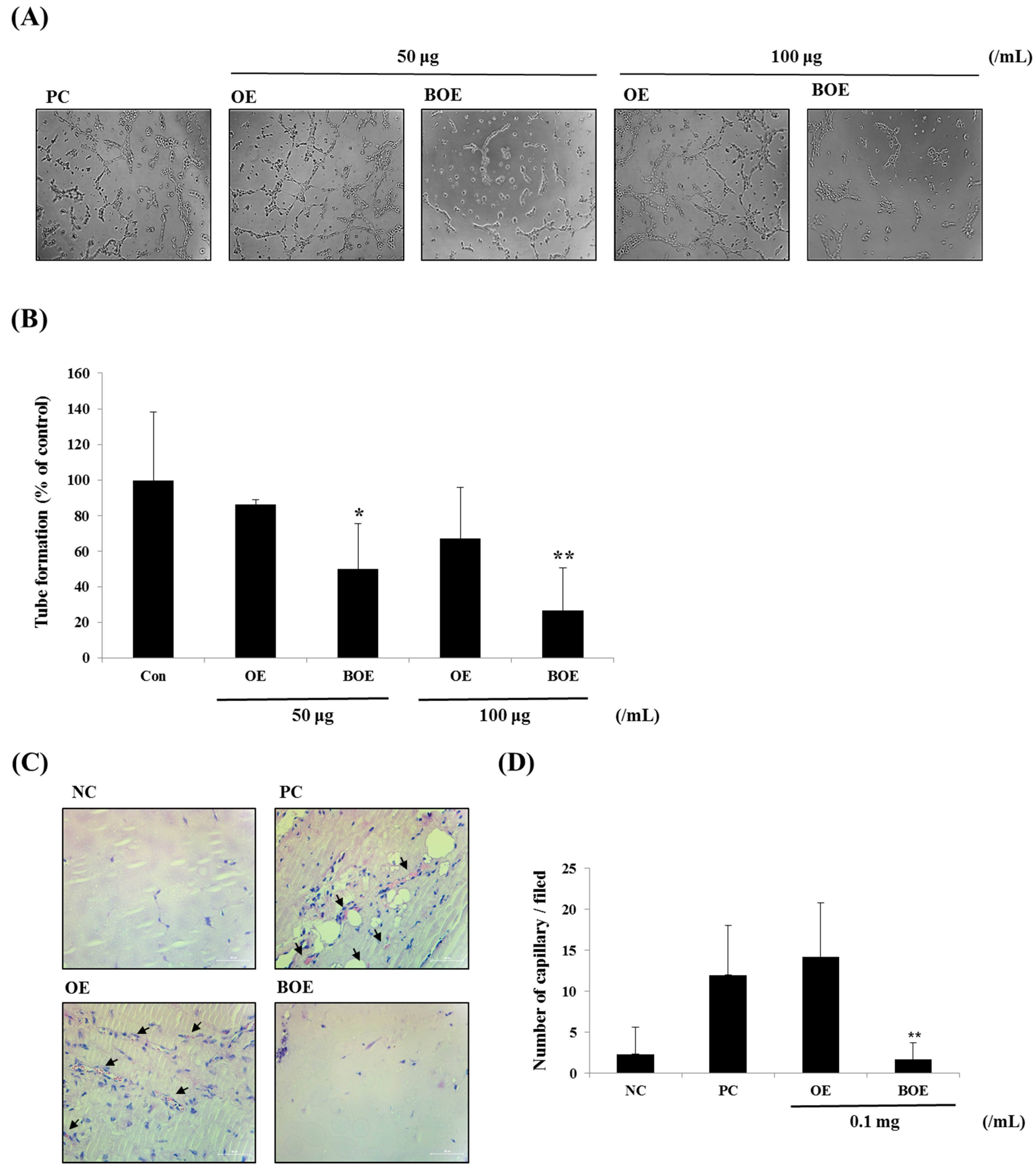 Ijms 18 02615 g003 550