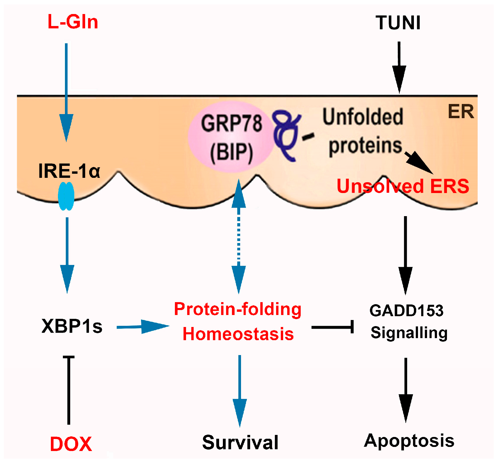 Ijms 18 02617 g007 550