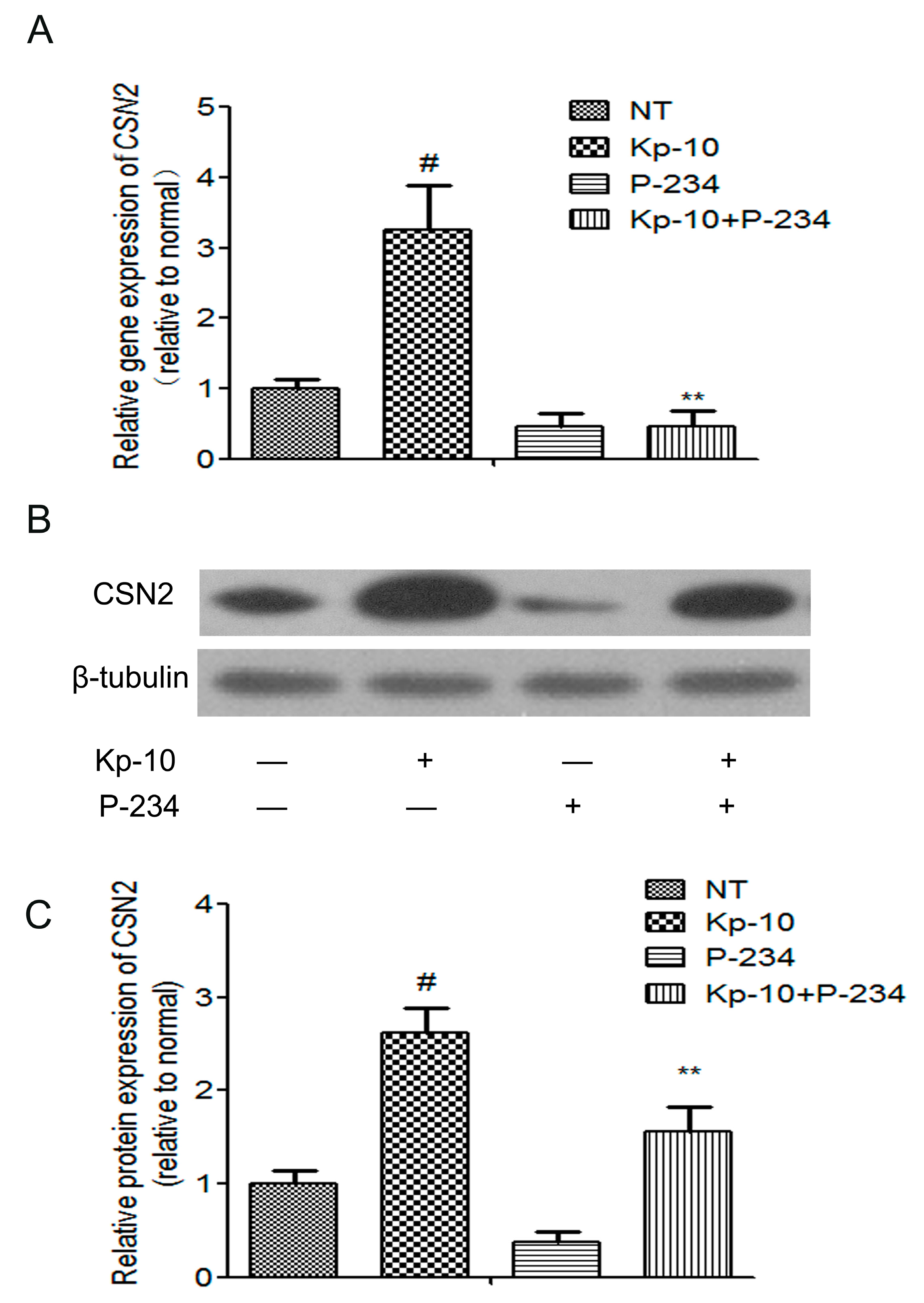 Ijms 18 02621 g004 Ijms 18 02621 g004