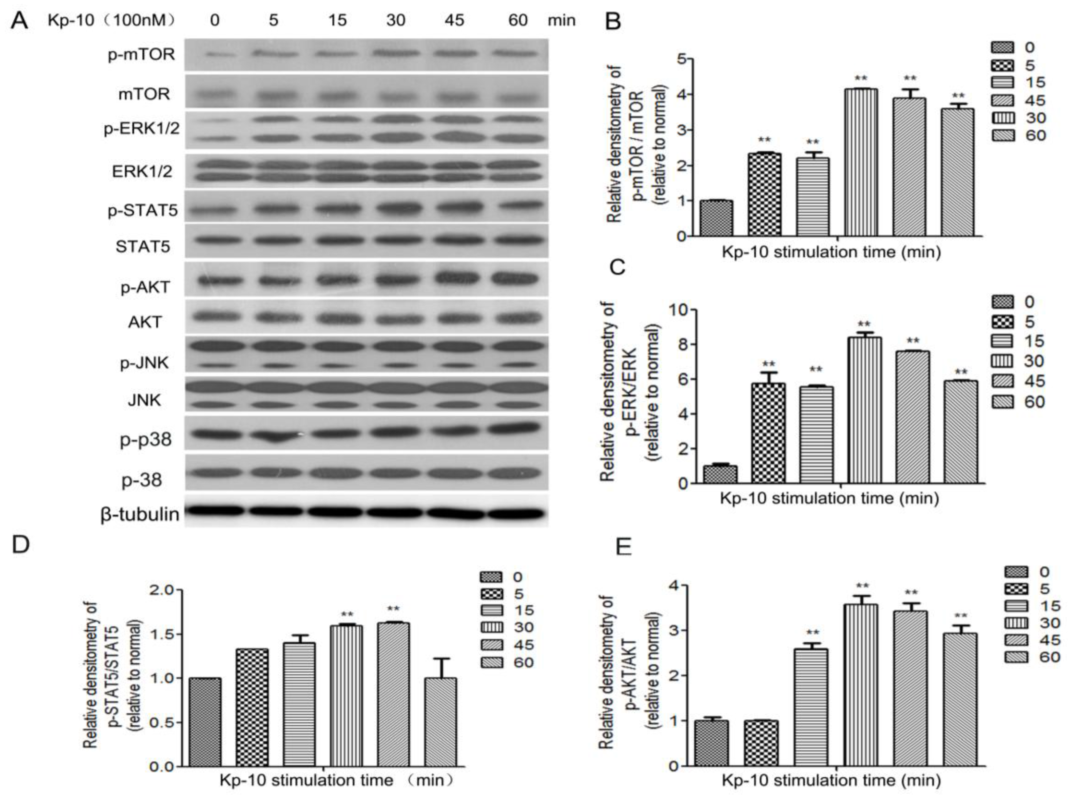 Ijms 18 02621 g005 Ijms 18 02621 g005