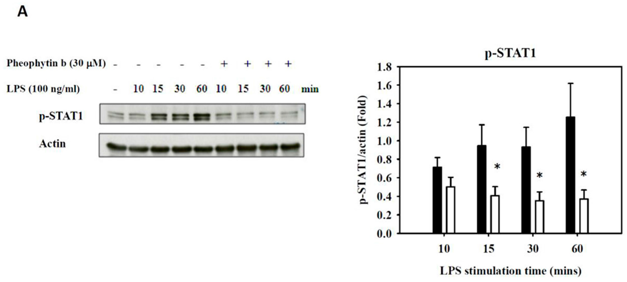 Ijms 18 02637 g007a