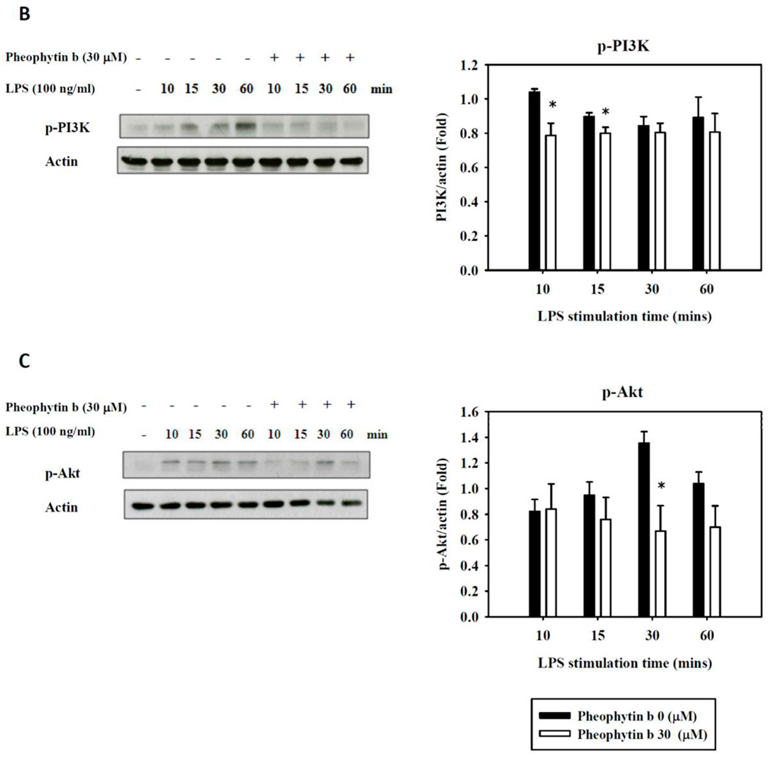 Ijms 18 02637 g007b