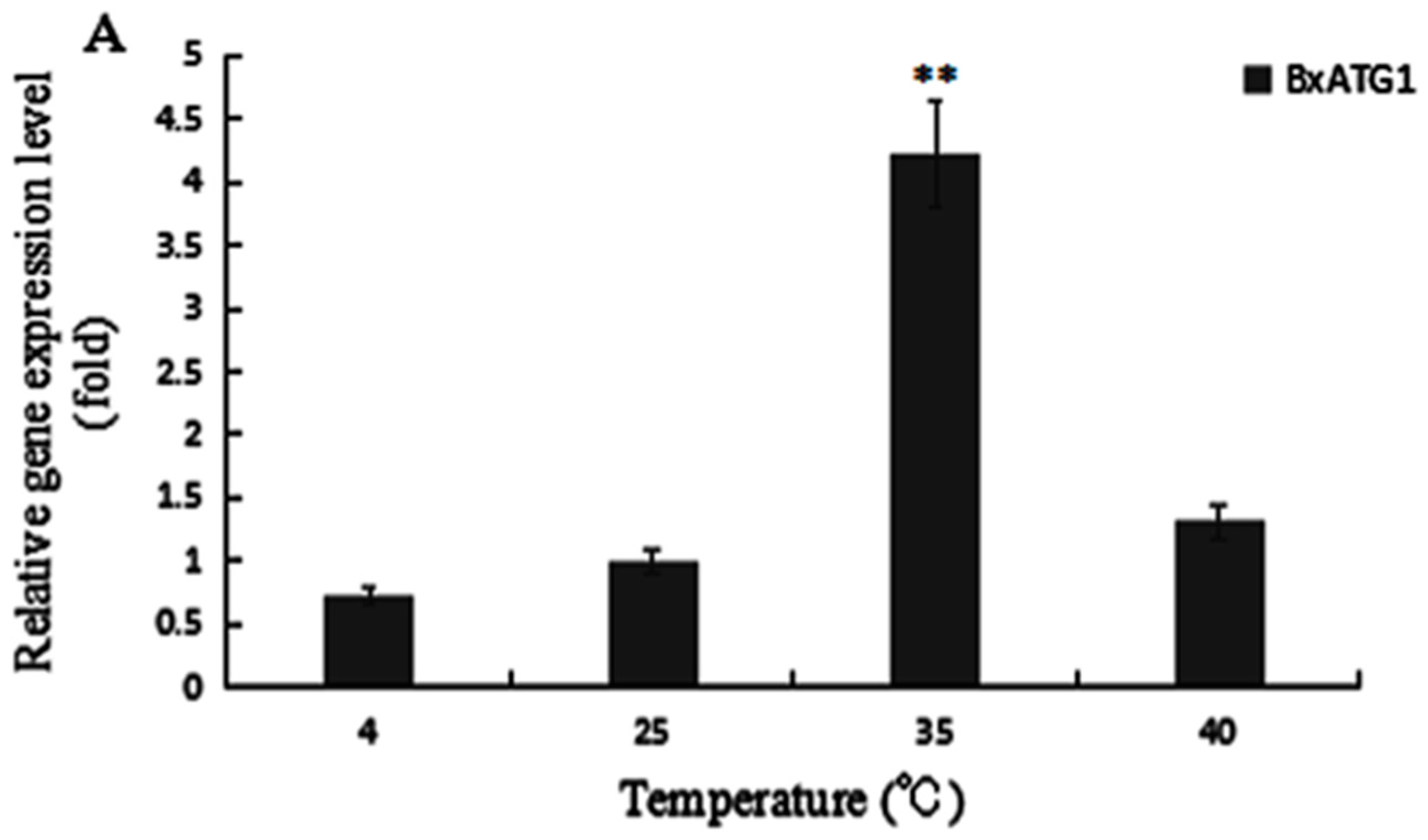 Ijms 18 02639 g004a 550