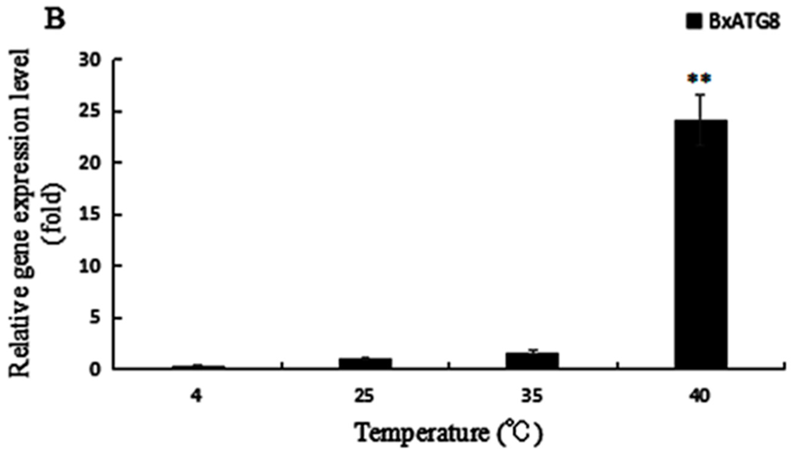 Ijms 18 02639 g004b 550