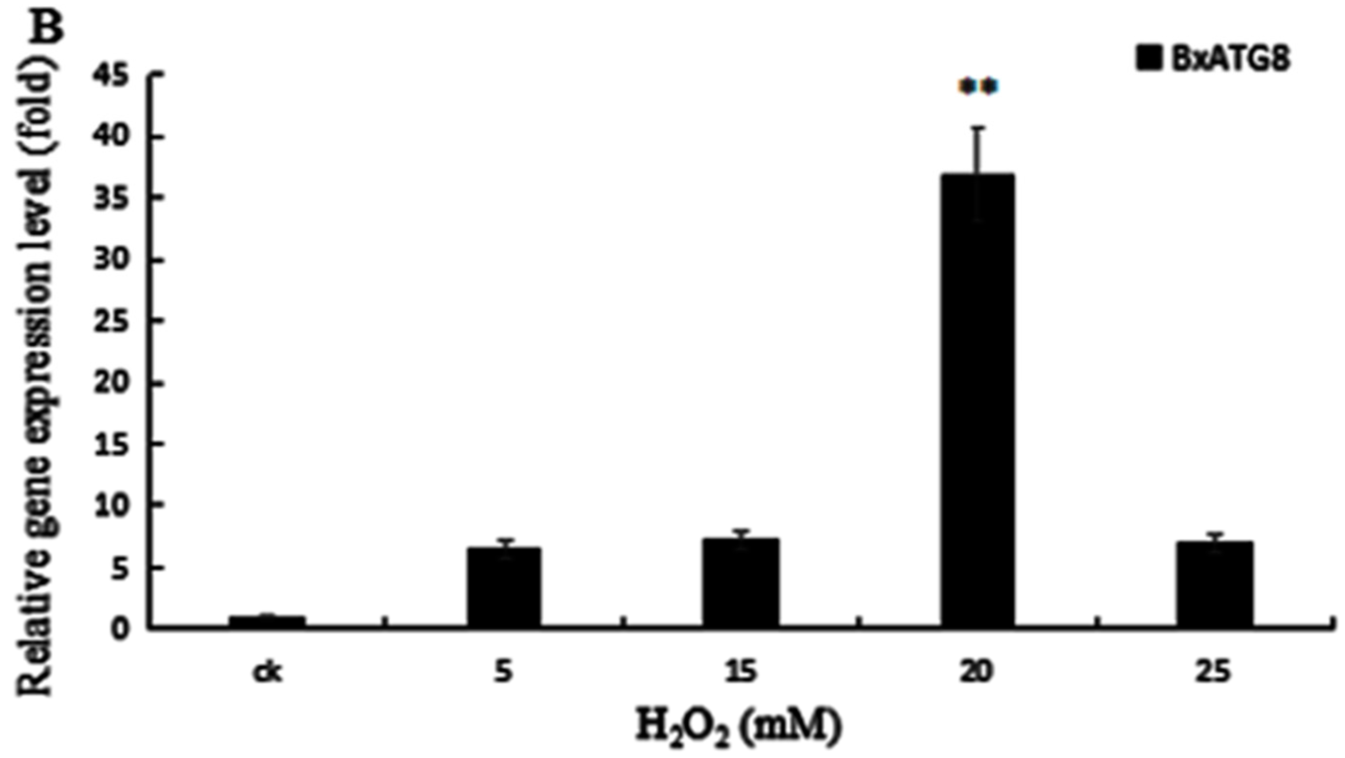 Ijms 18 02639 g005b 550