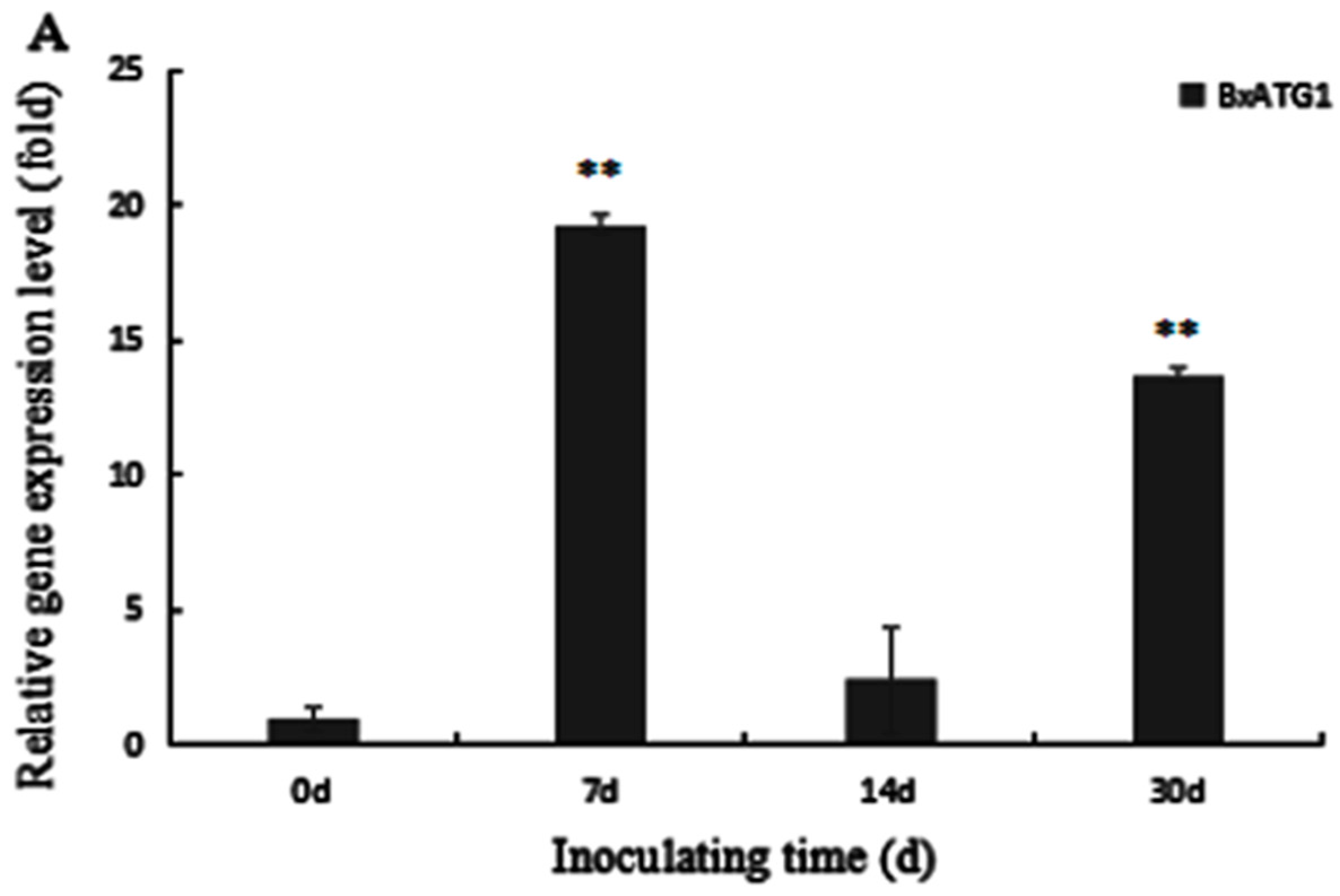 Ijms 18 02639 g006a 550