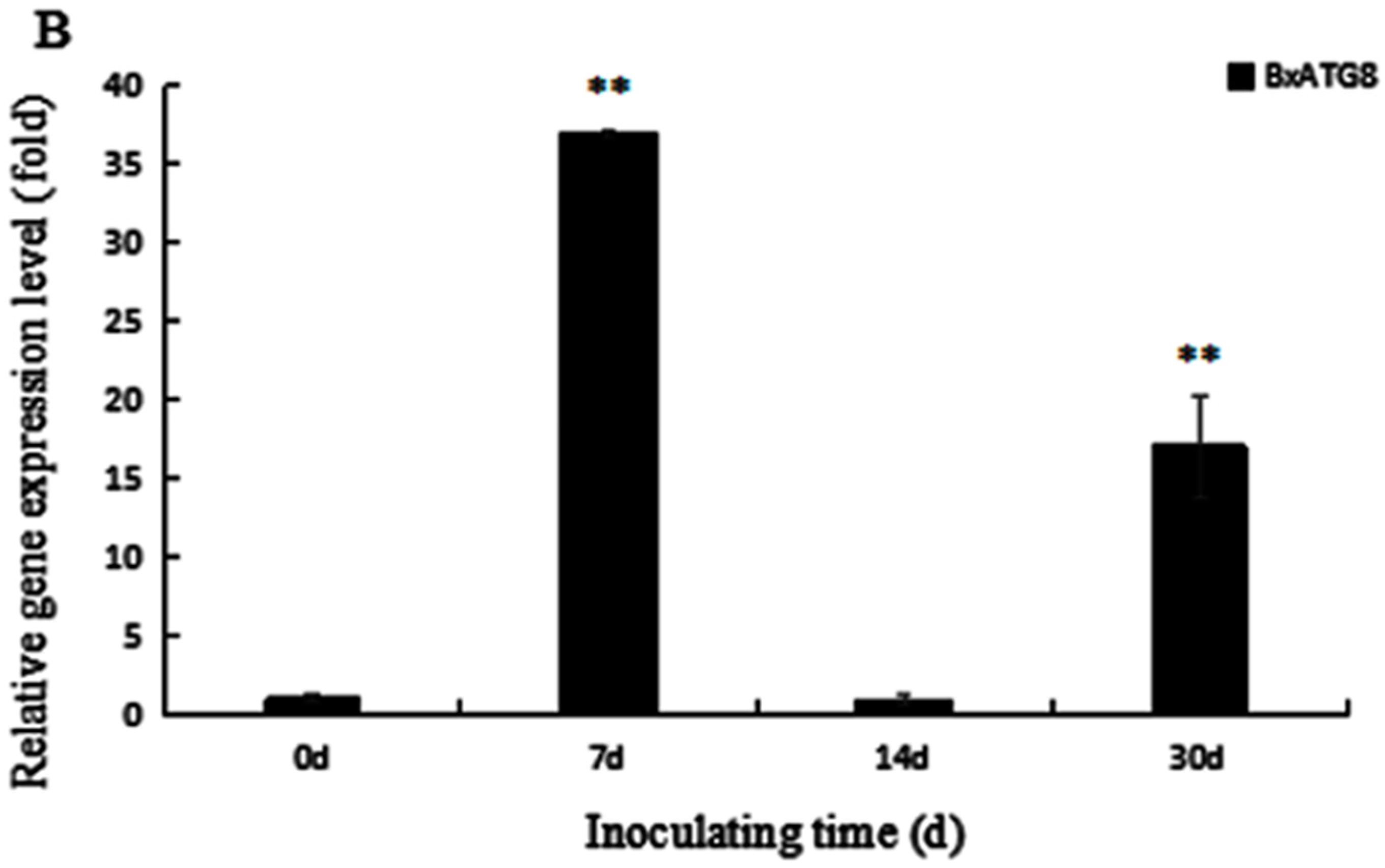 Ijms 18 02639 g006b 550