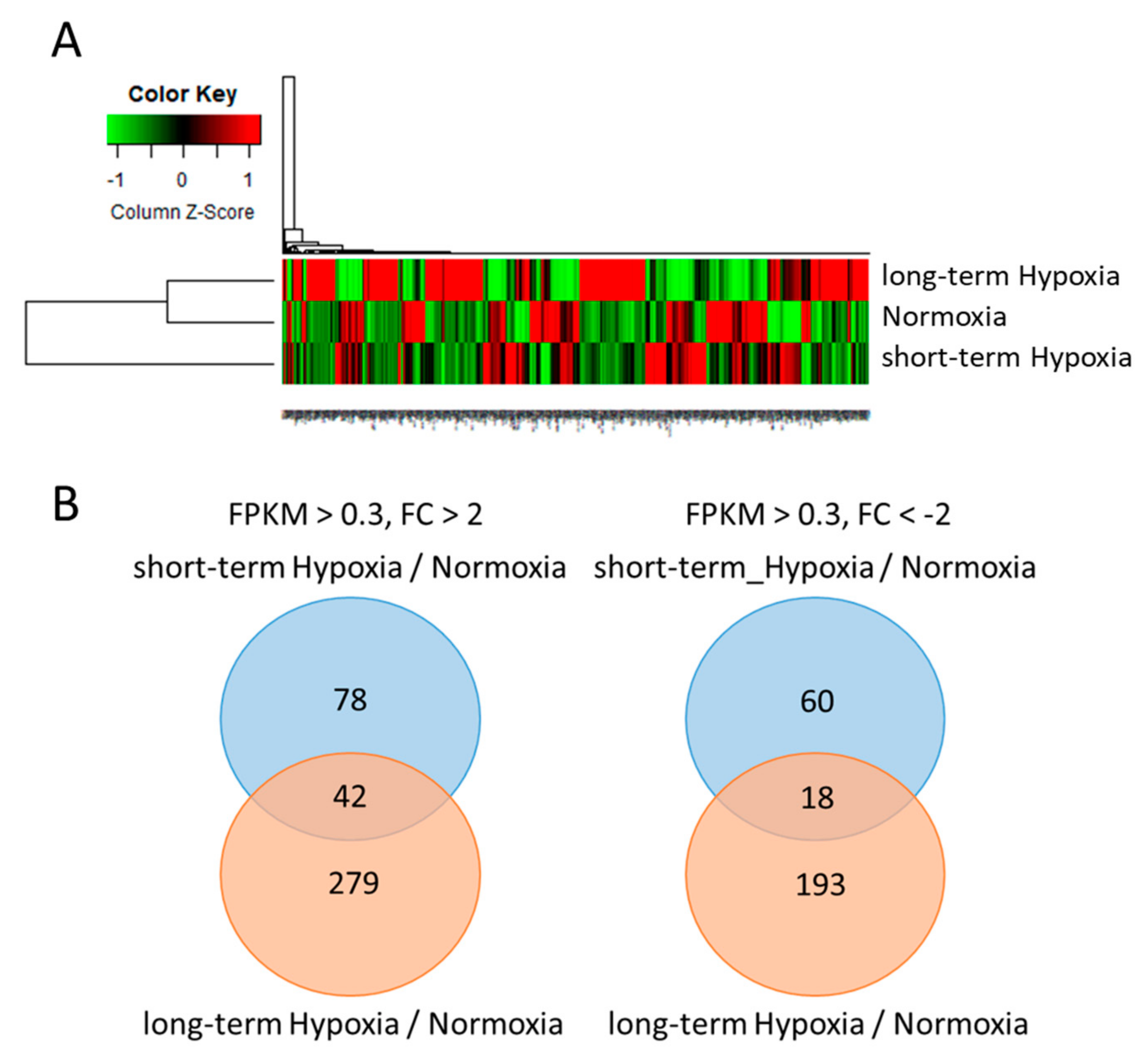 Ijms 18 02657 g002 550