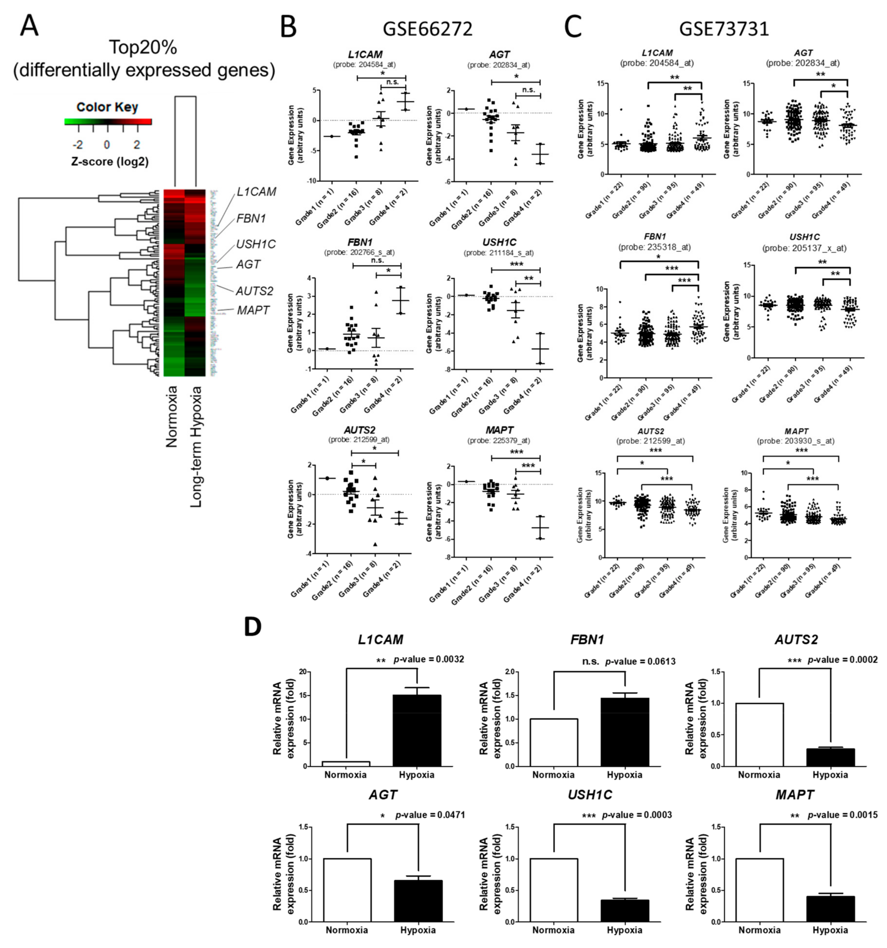 Ijms 18 02657 g004 550