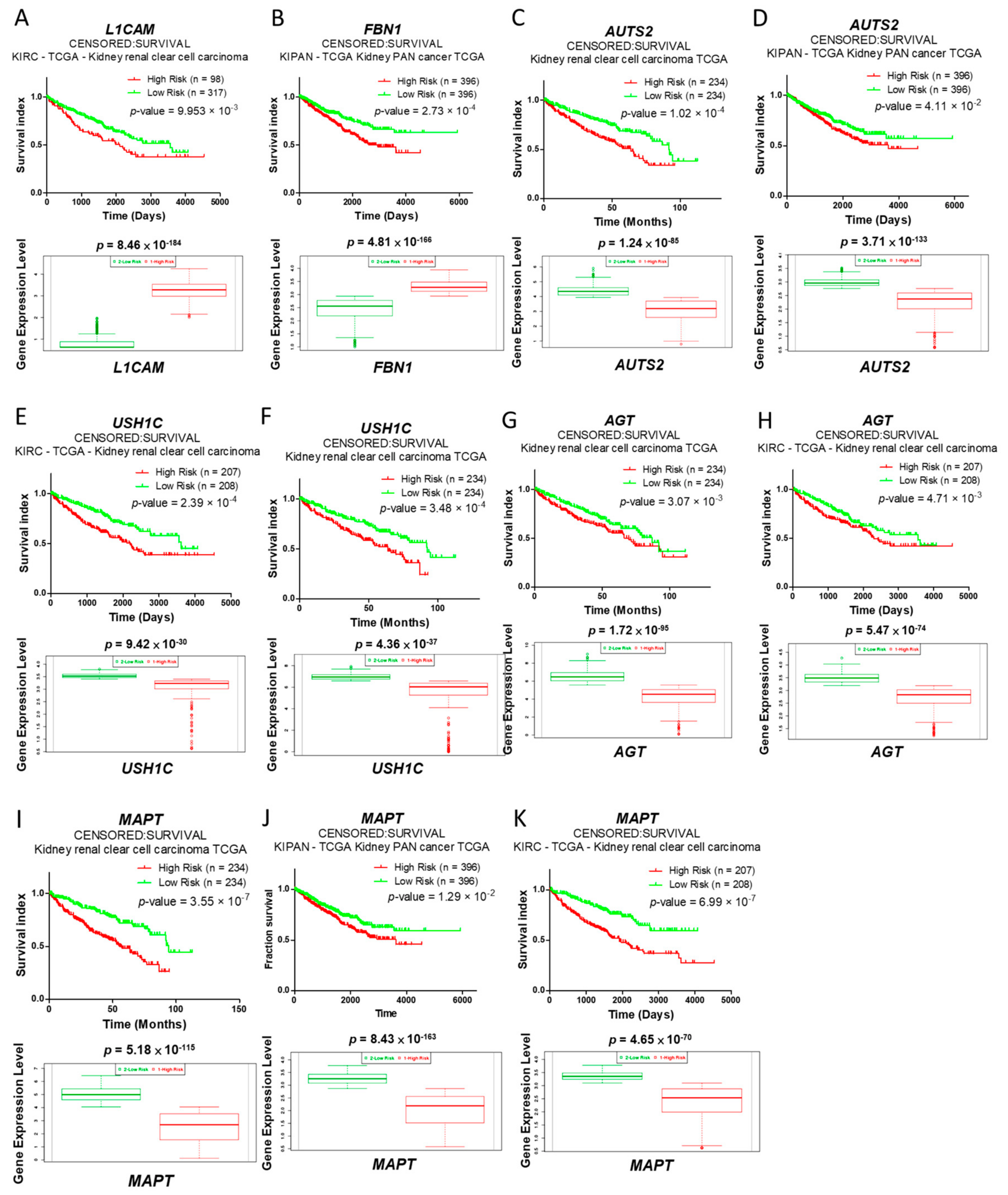 Ijms 18 02657 g005 550