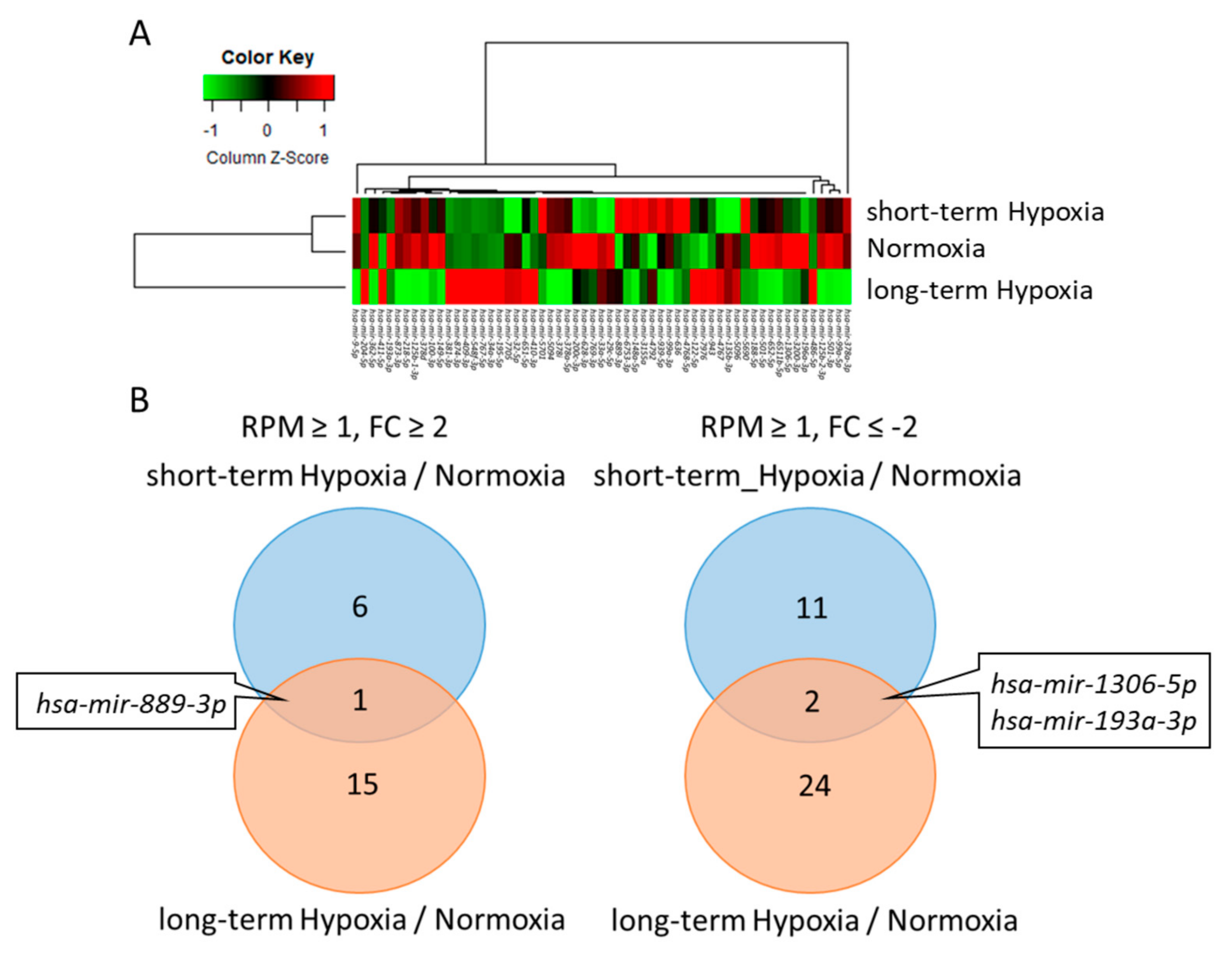 Ijms 18 02657 g006 550