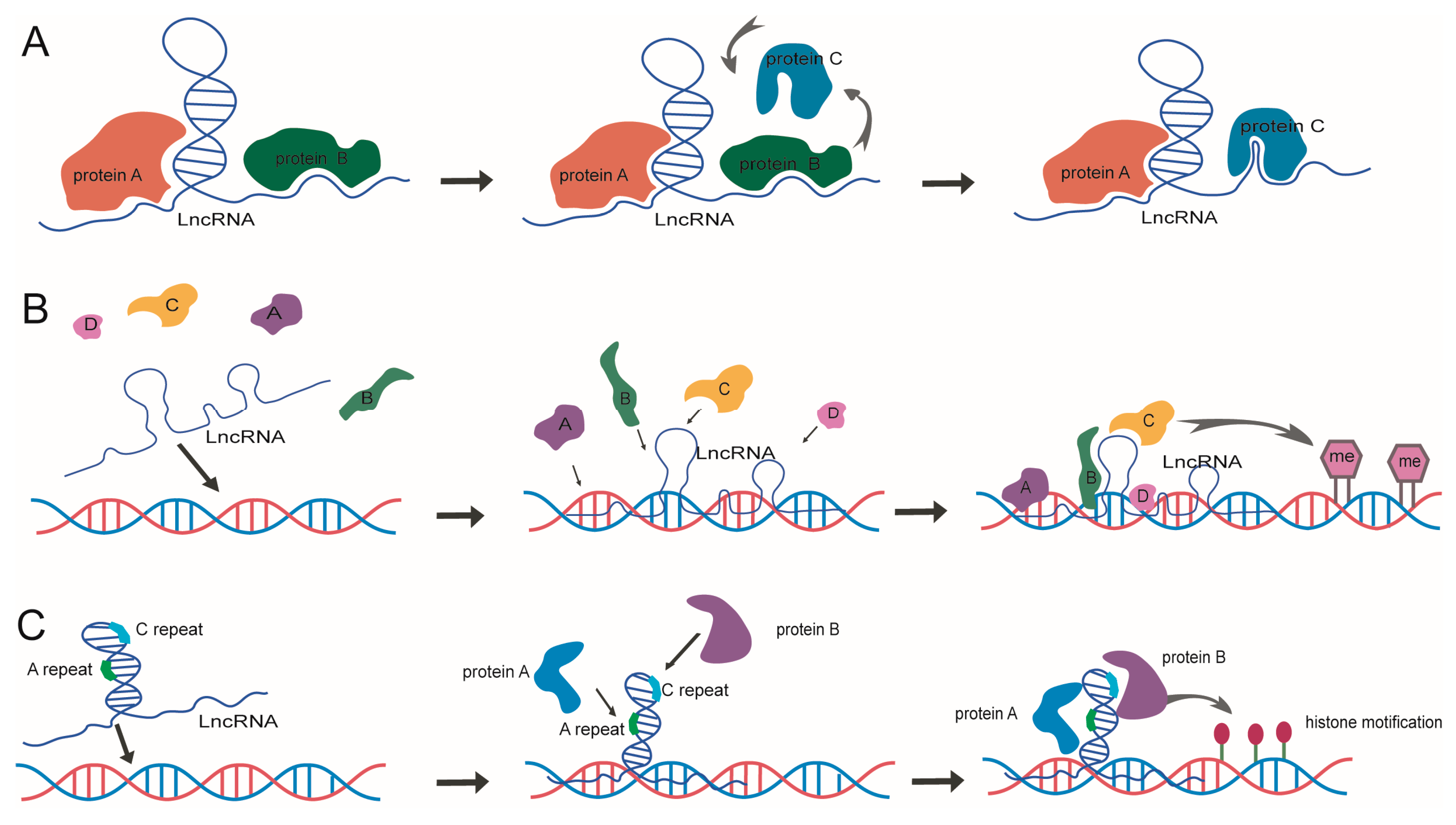 Ijms 18 02659 g002 Ijms 18 02659 g002