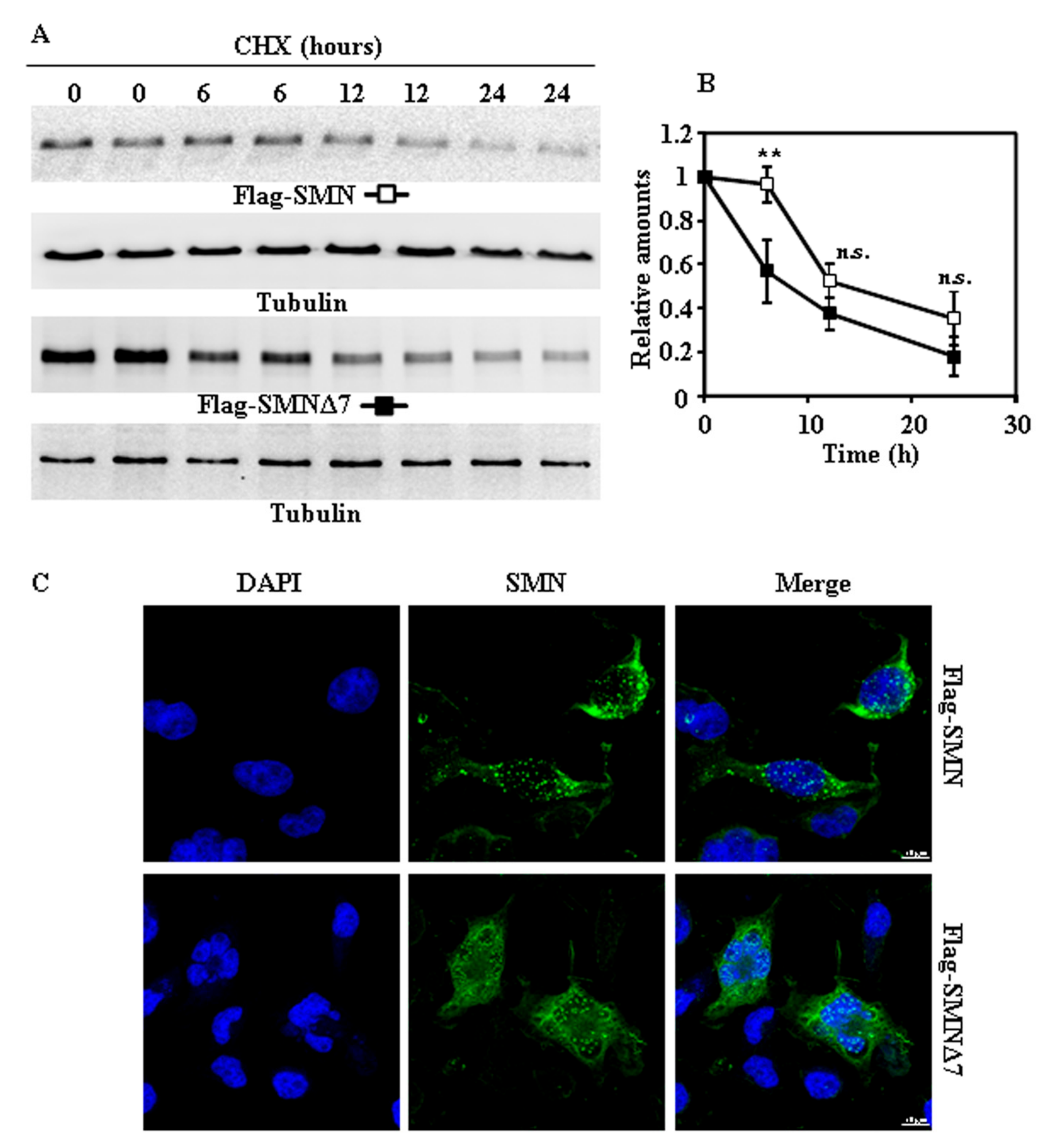 Ijms 18 02667 g002 Ijms 18 02667 g002