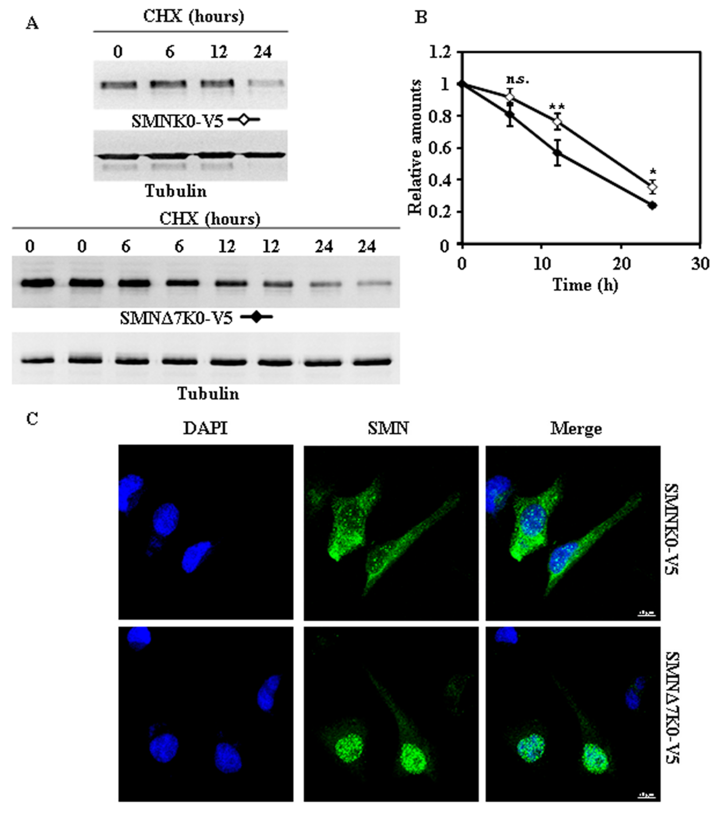 Ijms 18 02667 g005 Ijms 18 02667 g005