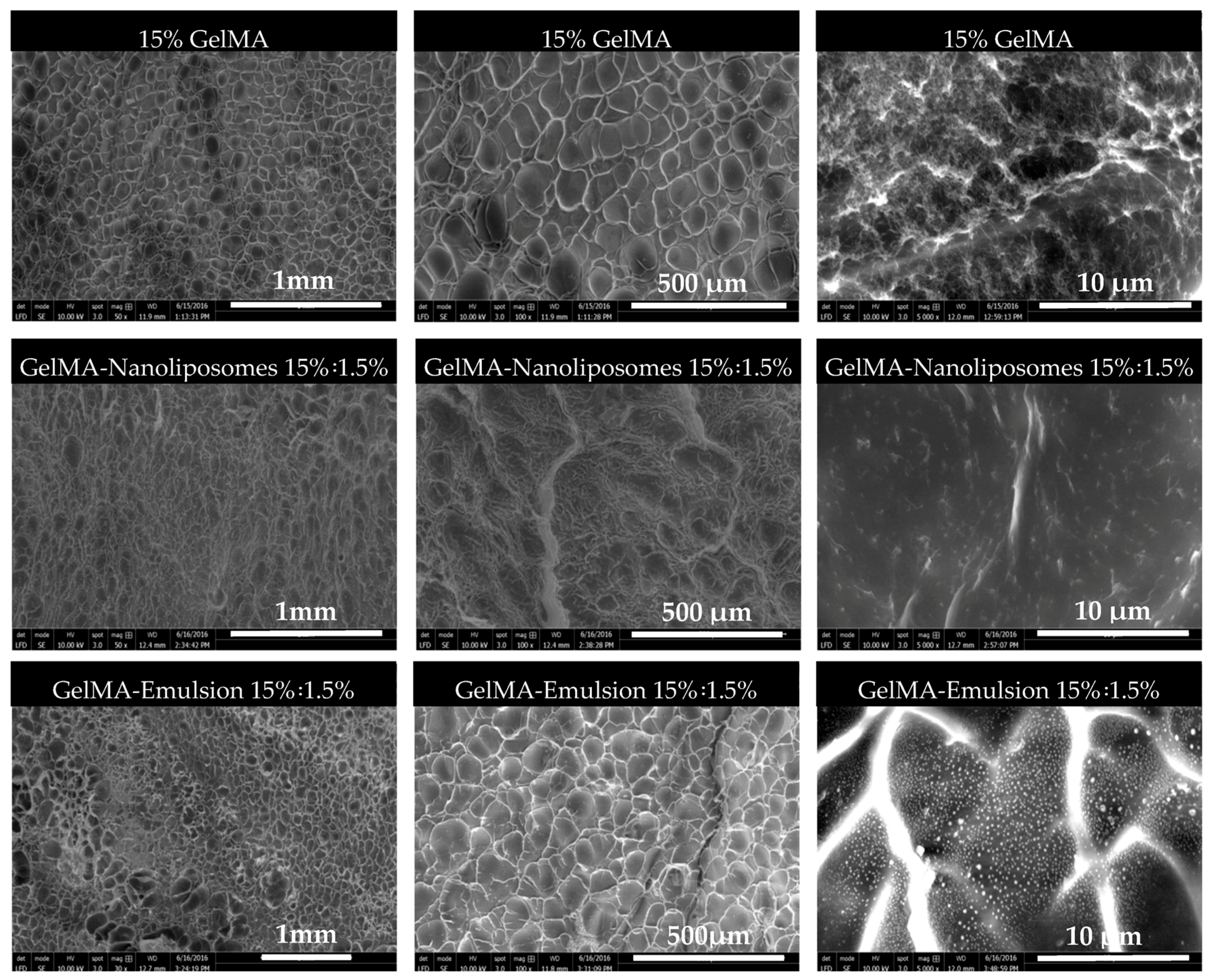 Ijms 18 02675 g003 550