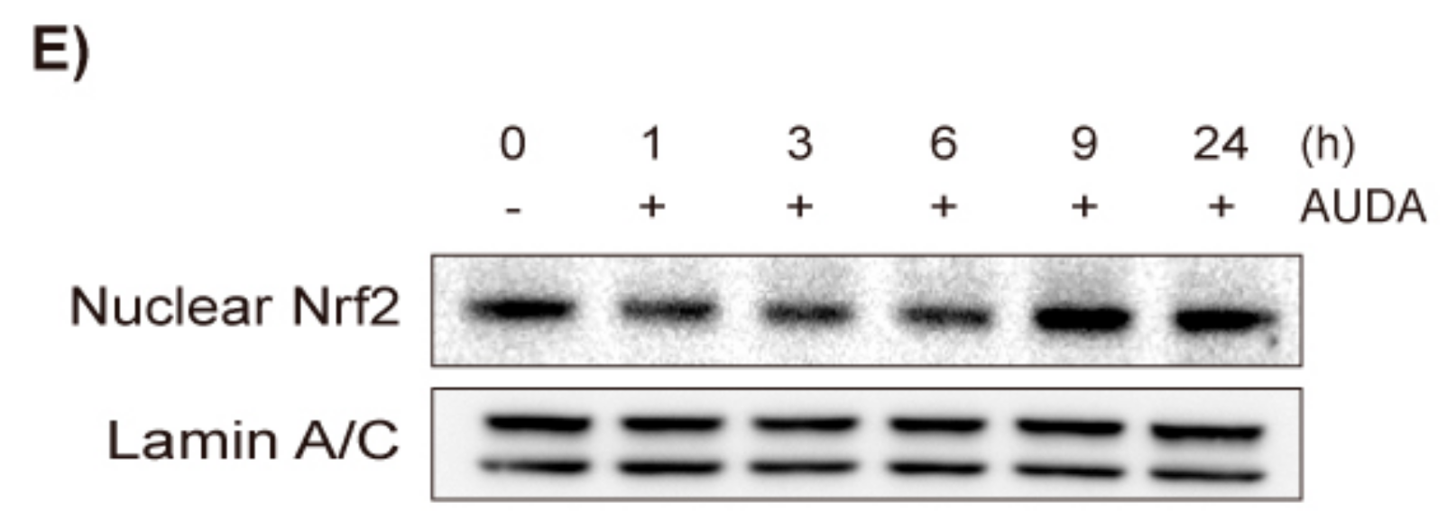 Ijms 18 02683 g001b 550