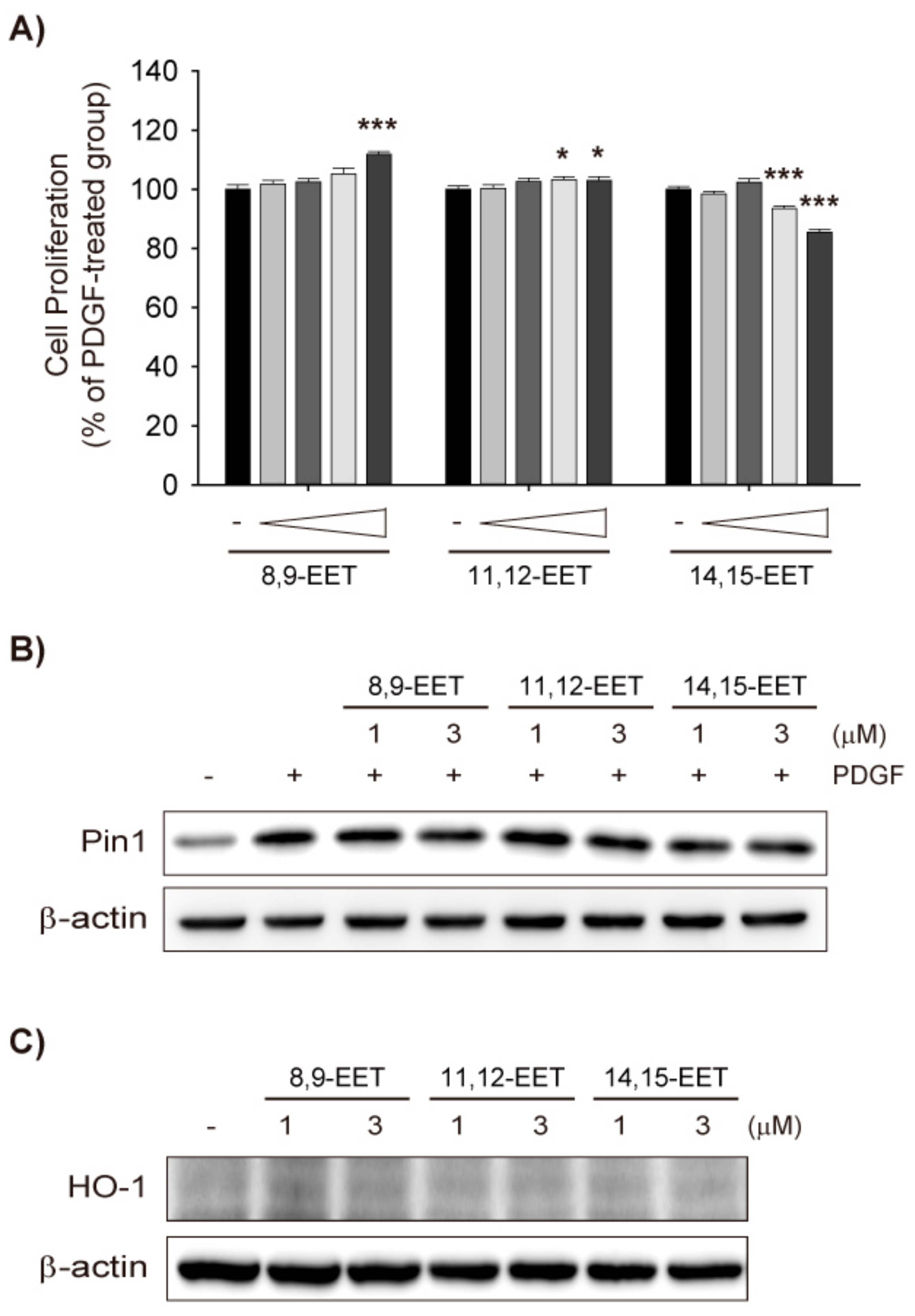 Ijms 18 02683 g002 550