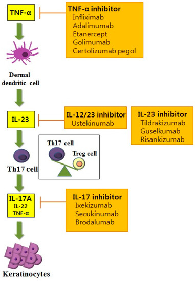 Ijms Free Full Text Molecular Mechanisms And Management Of A Cutaneous Inflammatory Disorder Psoriasis Html