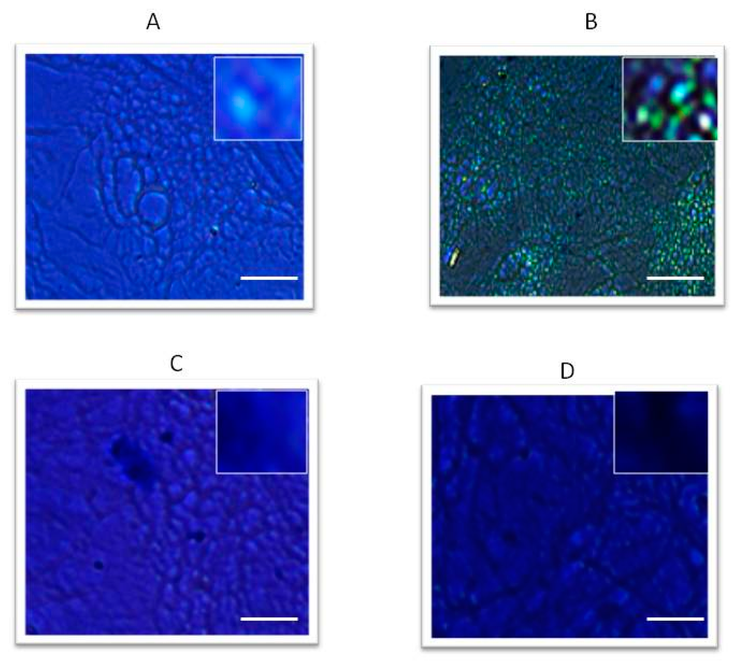 Ijms 18 02696 g003 Ijms 18 02696 g003