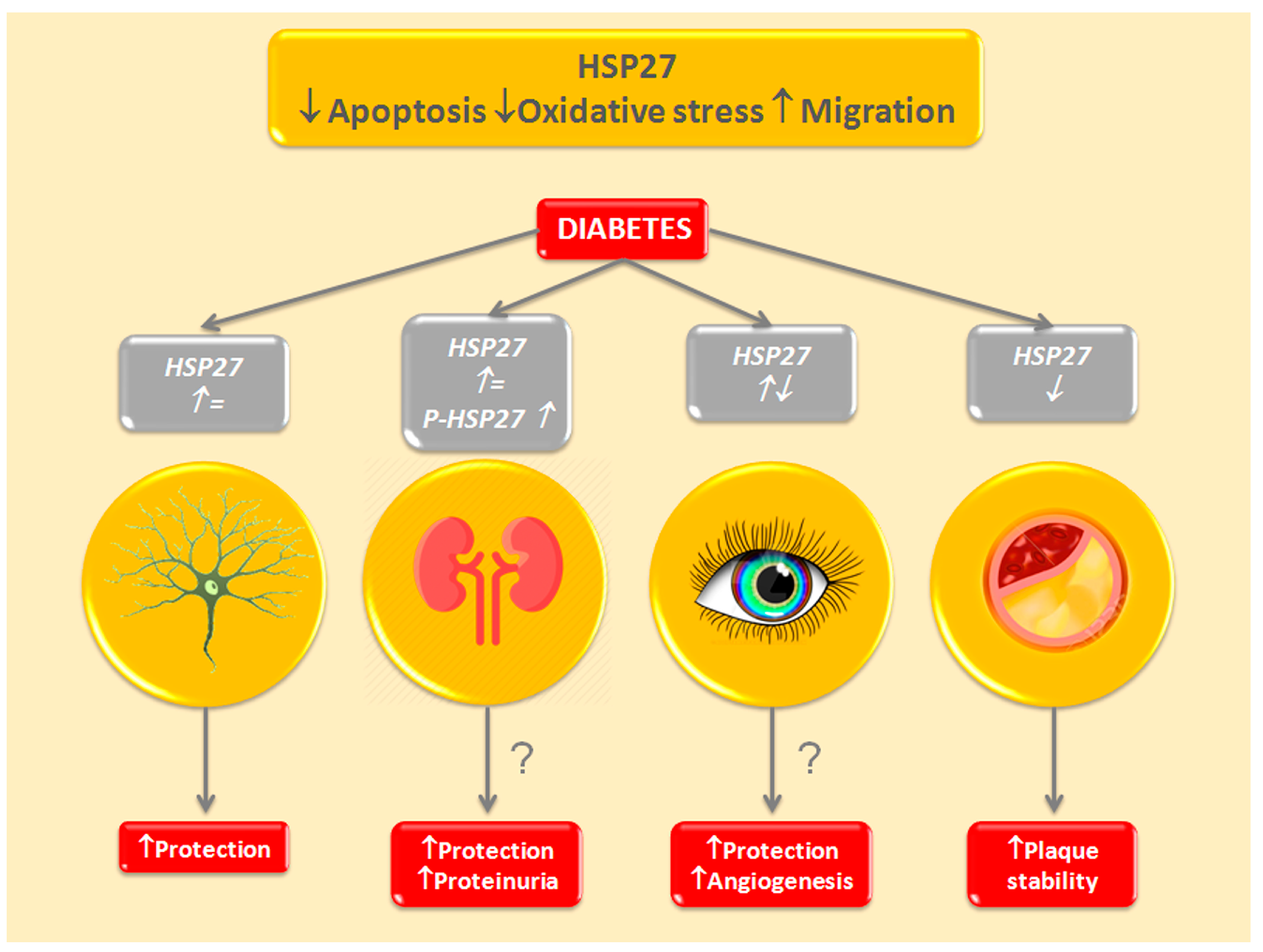 Ijms 18 02709 g002 Ijms 18 02709 g002