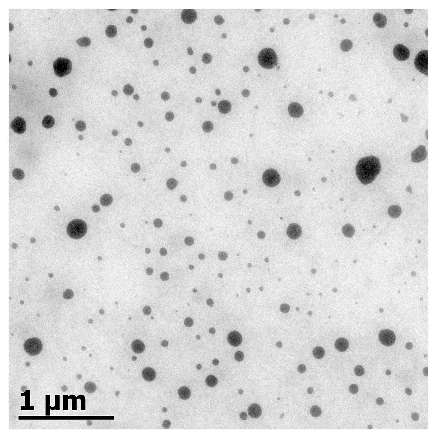 Ijms 18 02712 g005 Ijms 18 02712 g005