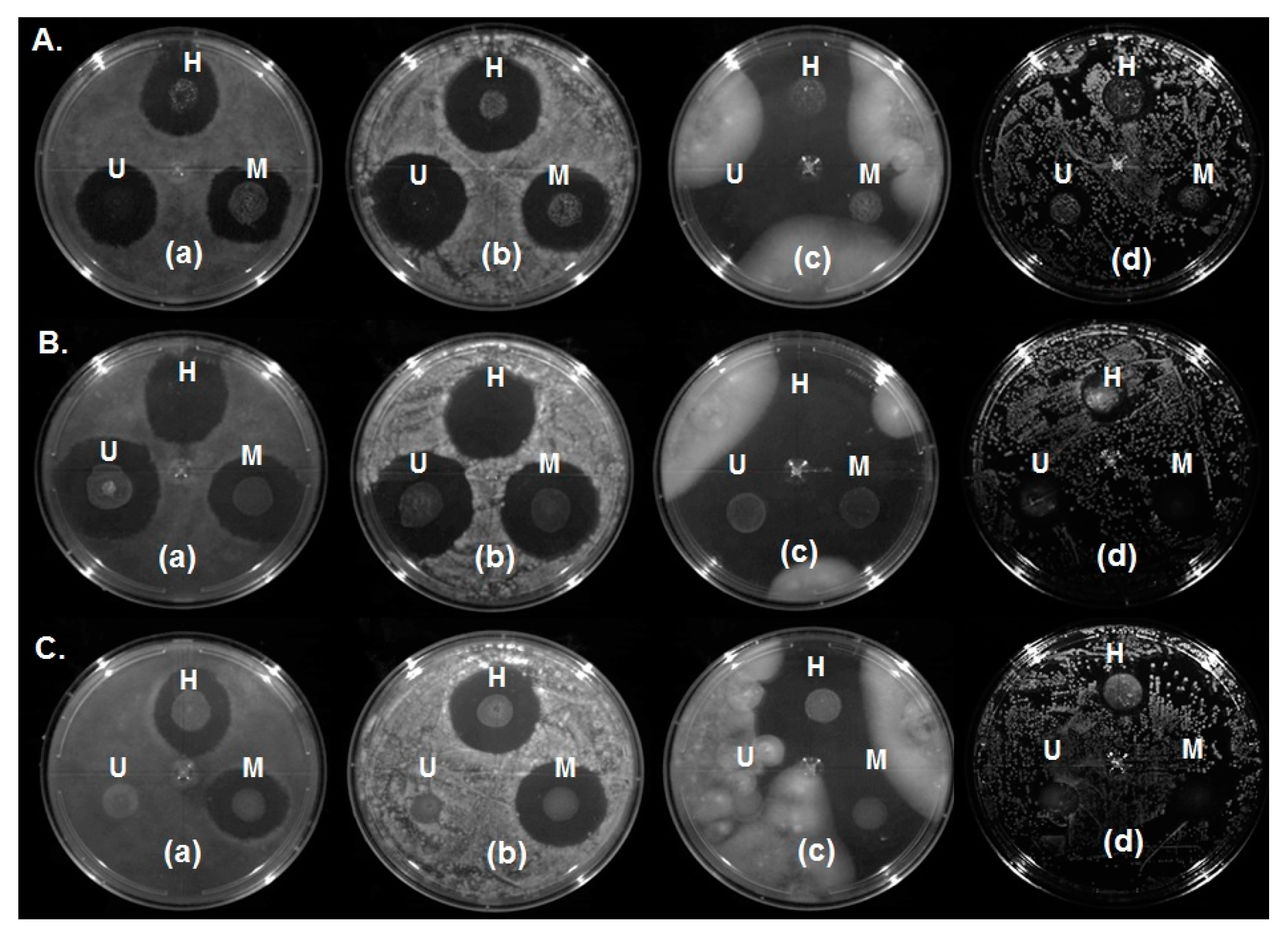 Ijms 18 02712 g008 Ijms 18 02712 g008