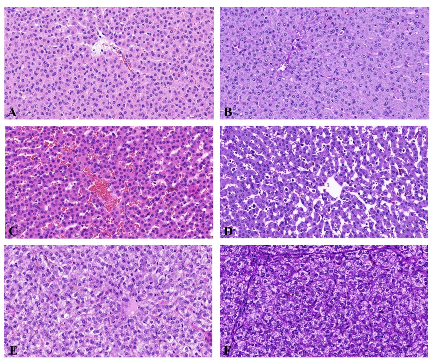 Ijms 18 02726 g001 Ijms 18 02726 g001