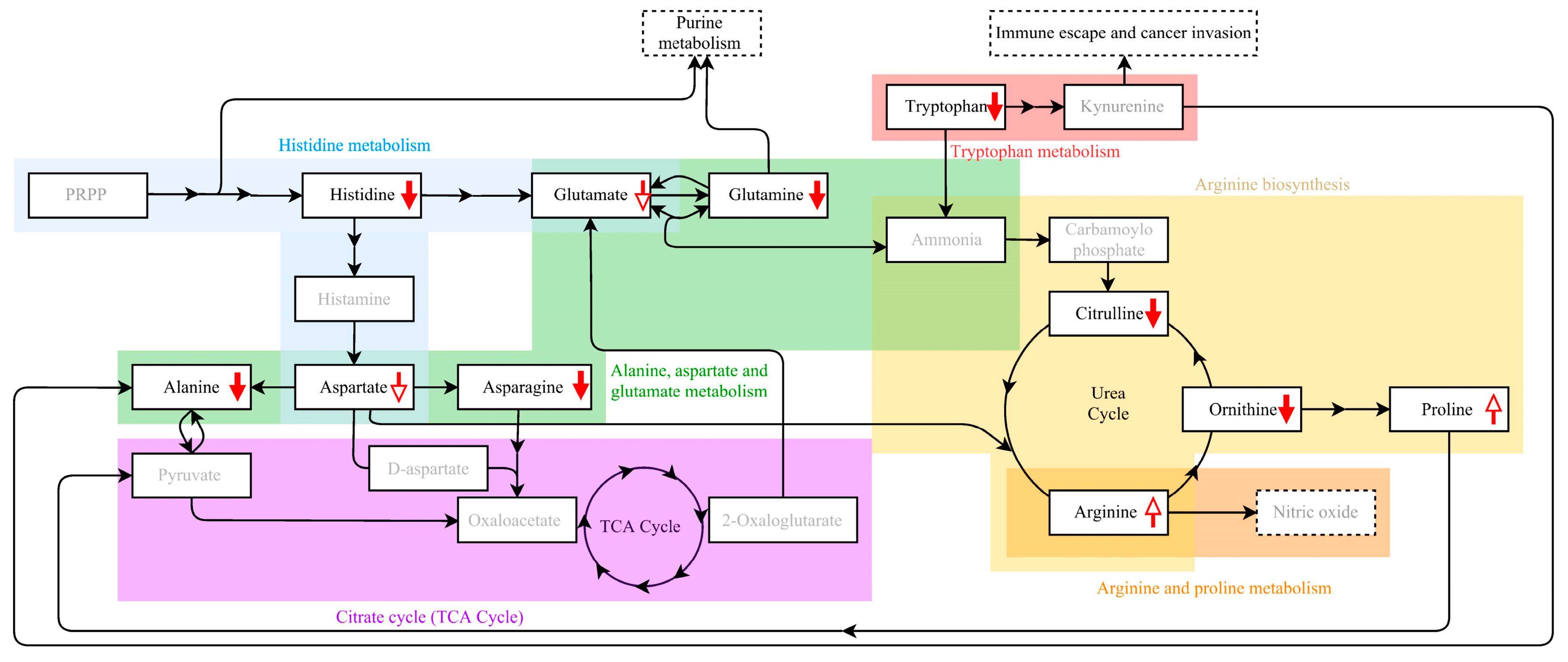 Ijms 18 02727 g003 550