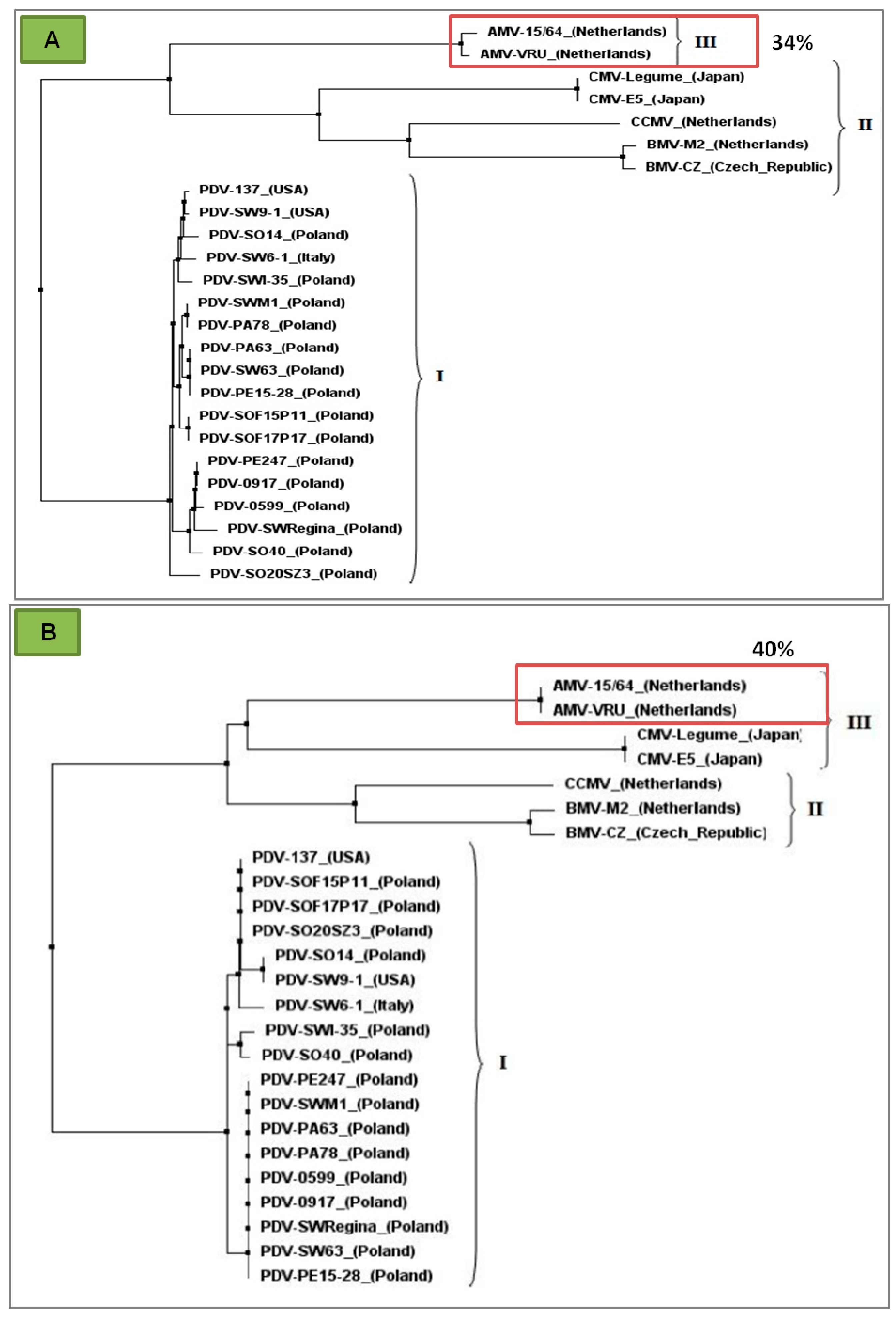 Ijms 18 02733 g004 Ijms 18 02733 g004
