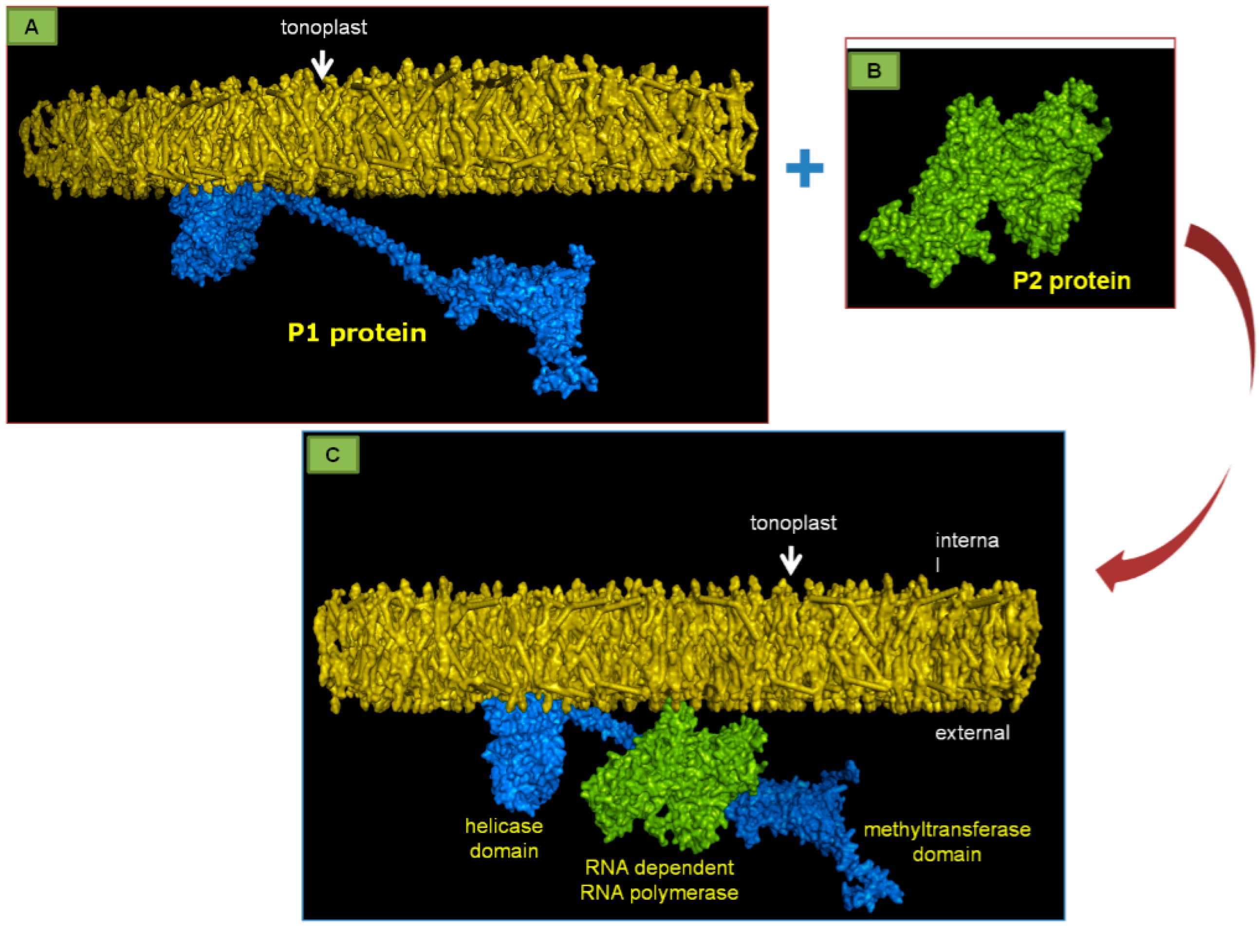 Ijms 18 02733 g008 Ijms 18 02733 g008