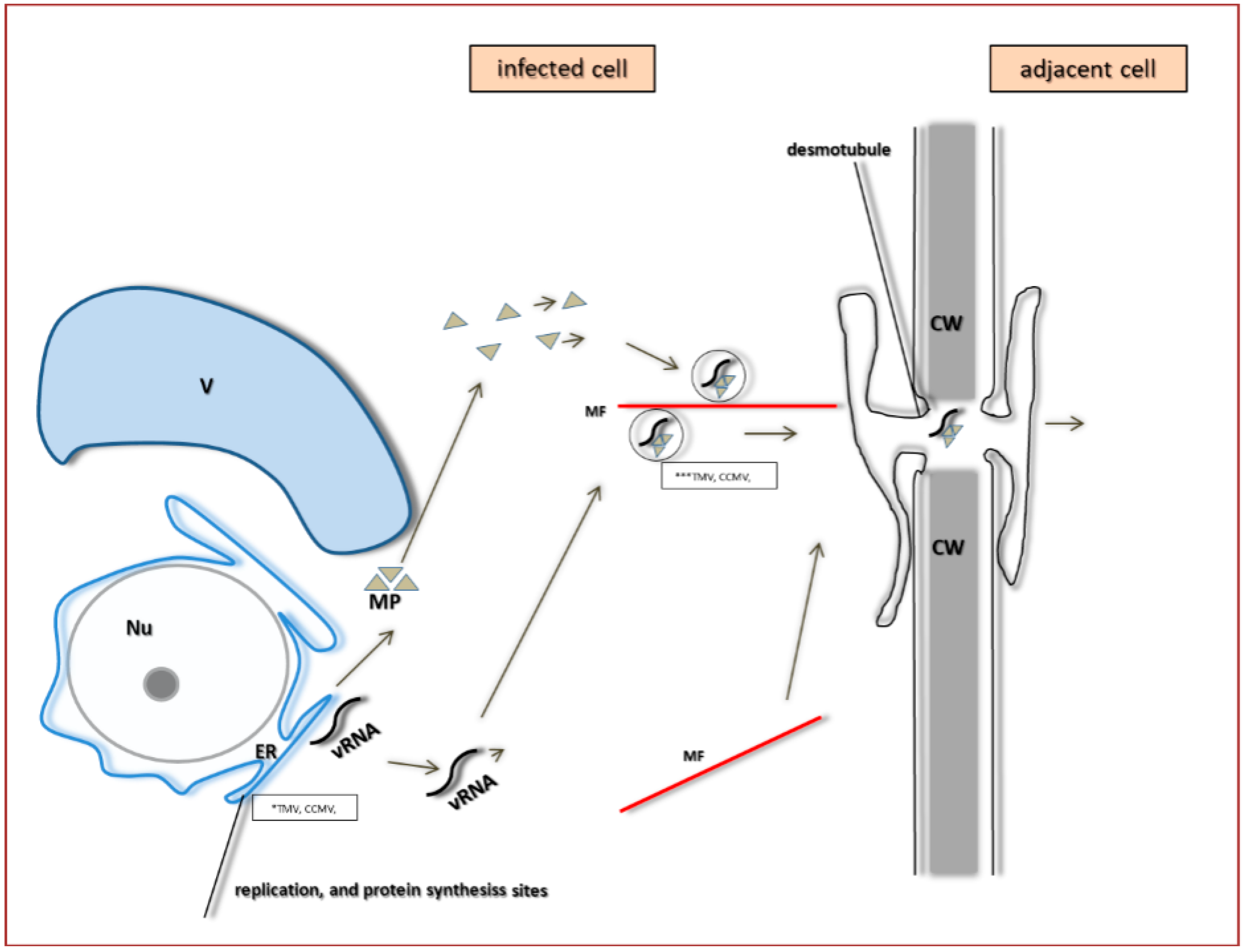 Ijms 18 02733 g009 Ijms 18 02733 g009