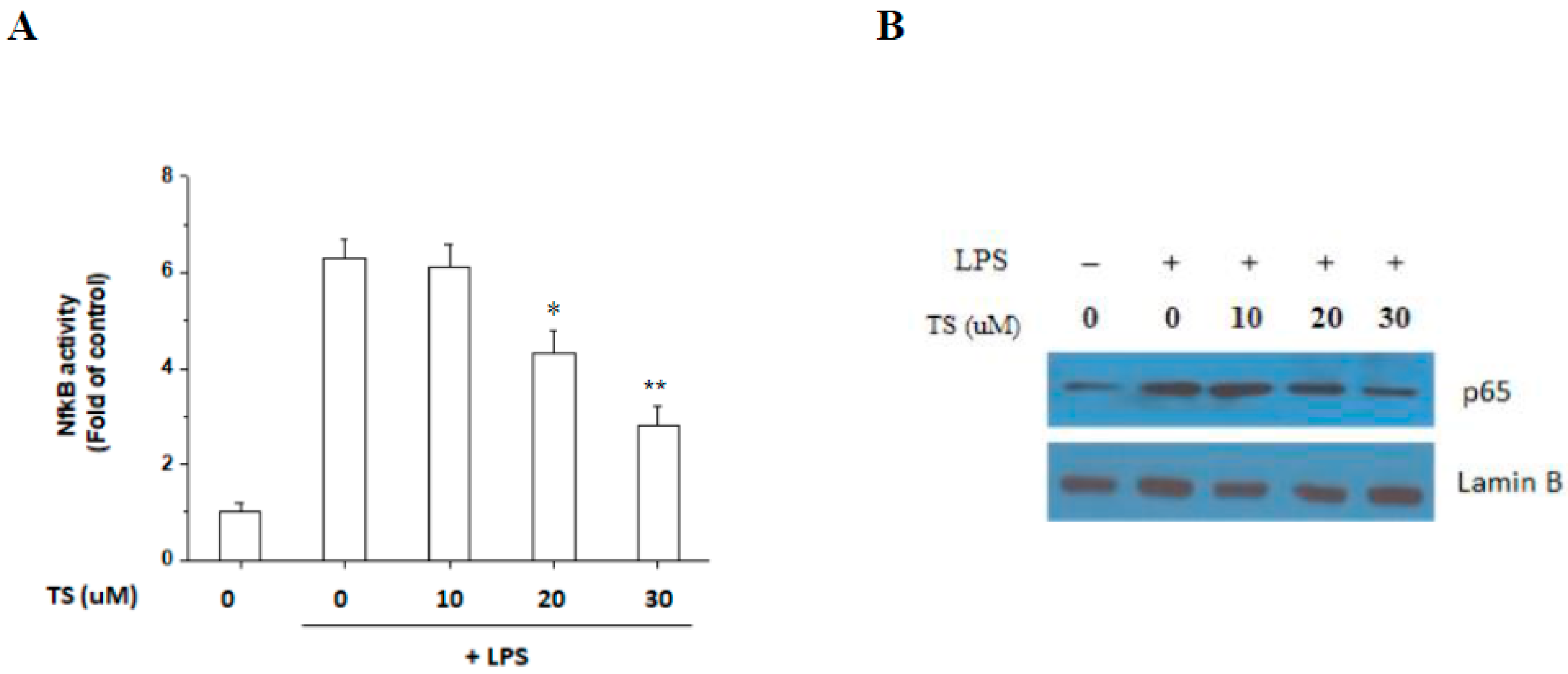Ijms 18 02744 g006 550