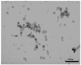 Ijms 18 02757 i005 Ijms 18 02757 i005