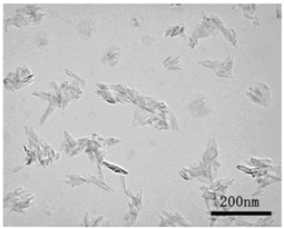 Ijms 18 02757 i006 Ijms 18 02757 i006