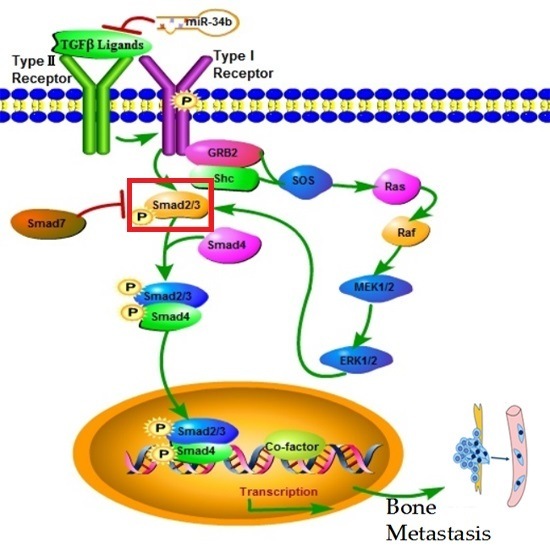 Avoir Images Ijms December Cite Browse Articles dernière par