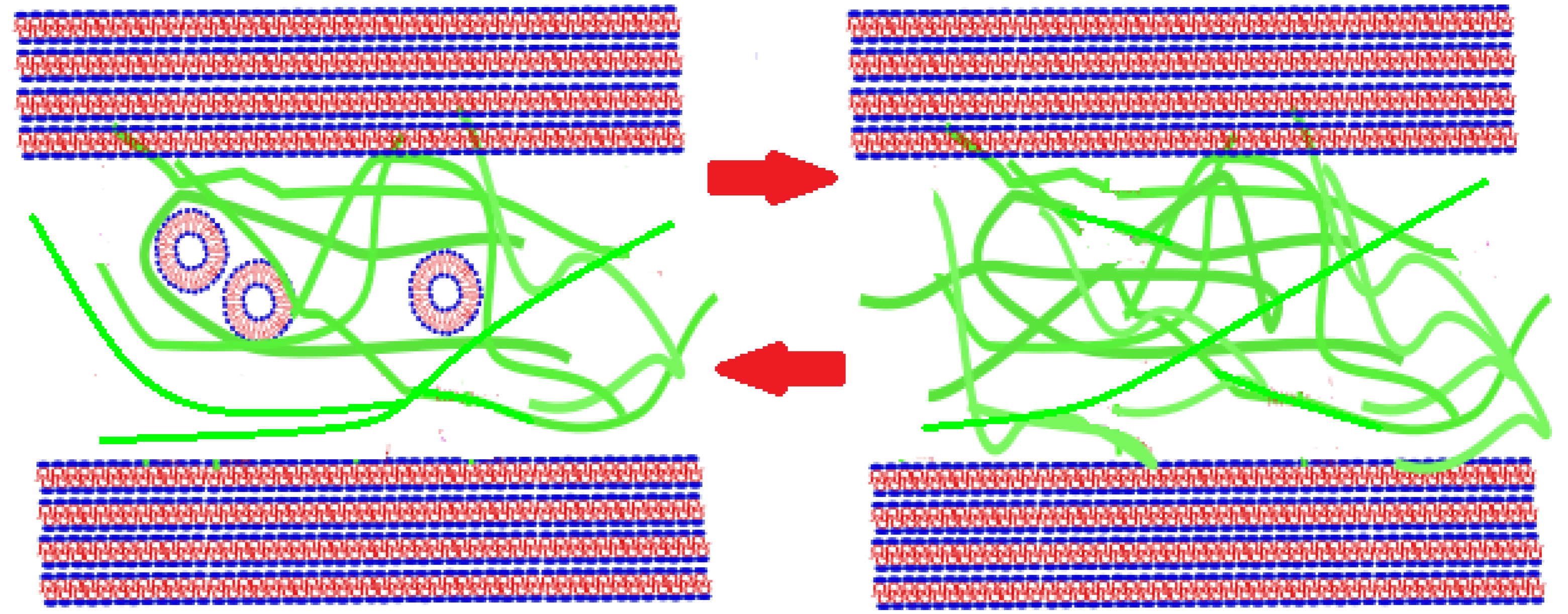 Ijms 18 02779 g001 Ijms 18 02779 g001