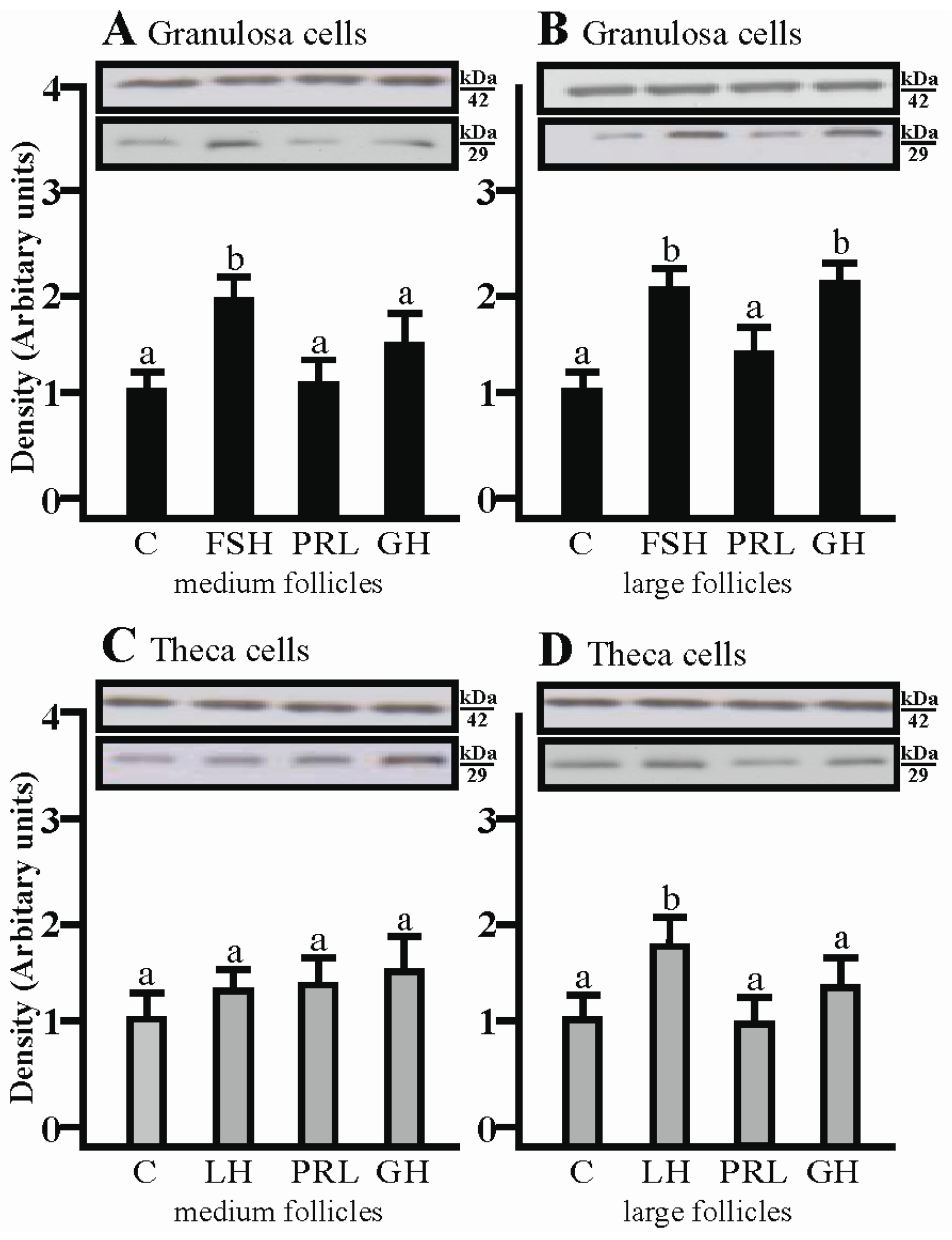 Ijms 19 00005 g002 Ijms 19 00005 g002